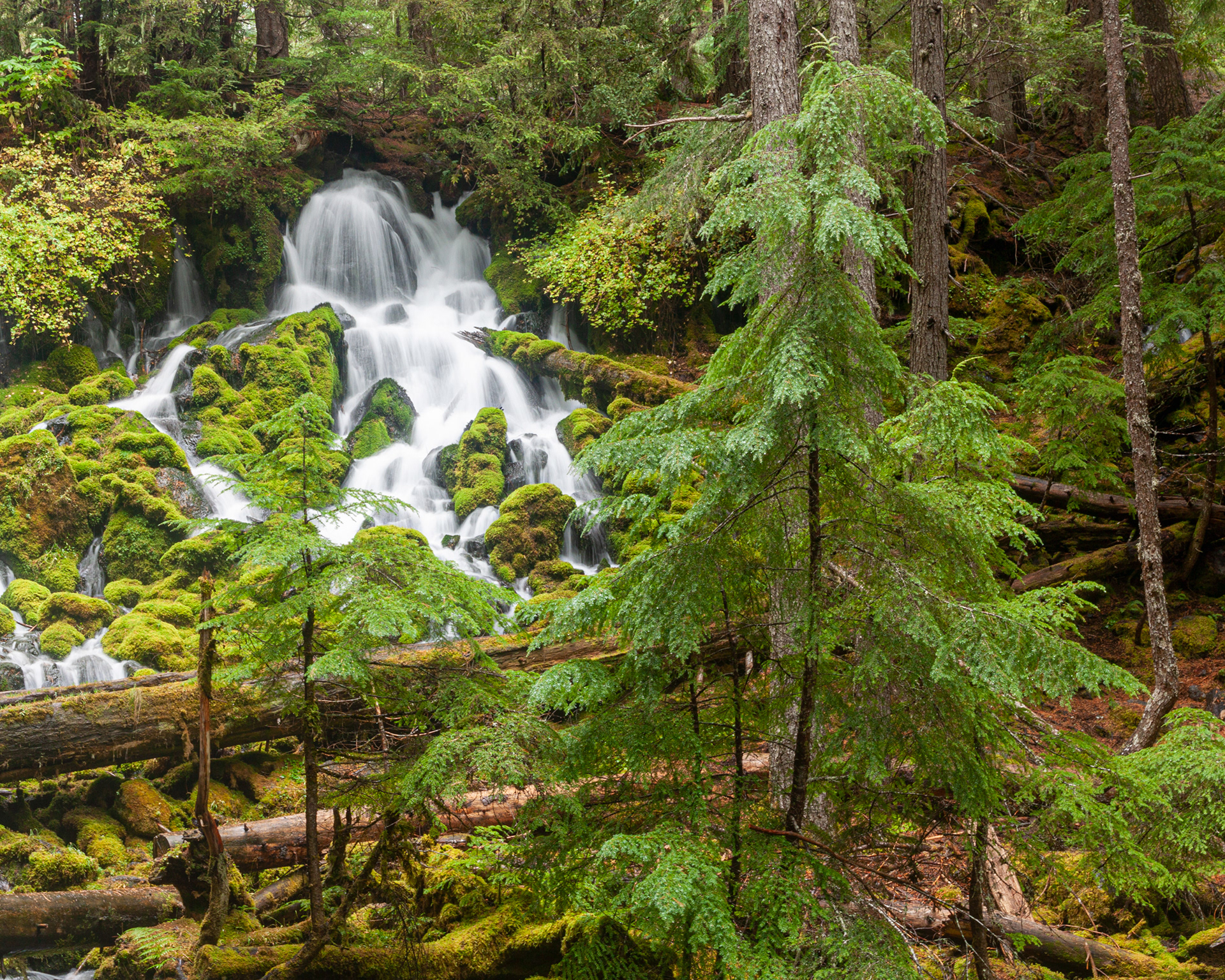 Unidentified Falls, Columbia River Gorge, Oregon