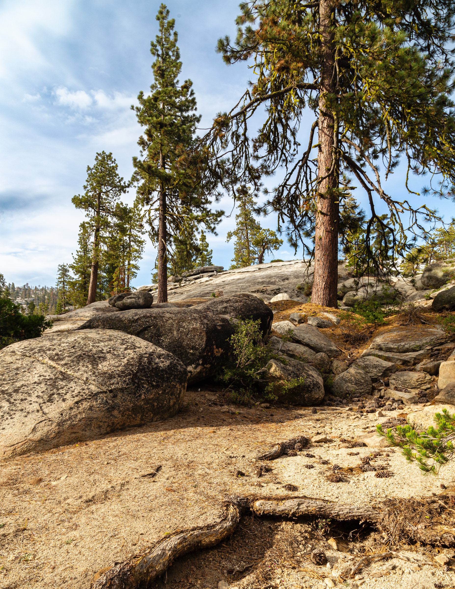 Northern California
