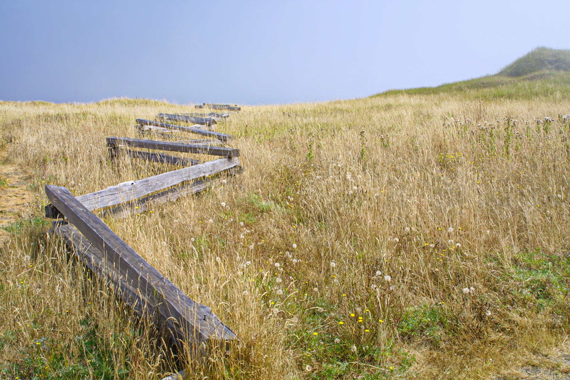 Rail Fence, San Juan Islands