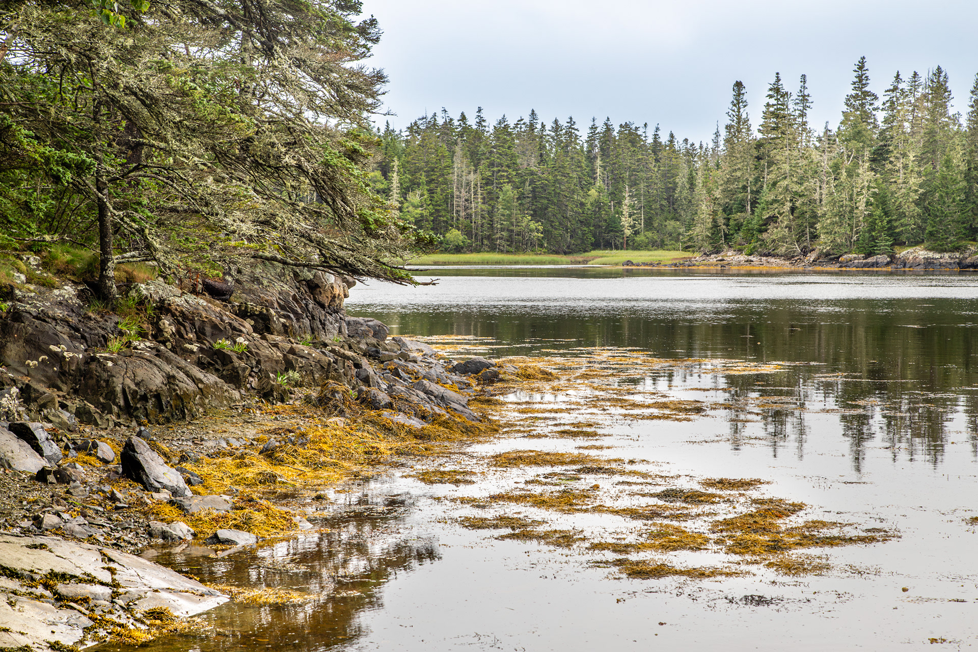 Acadia National Park