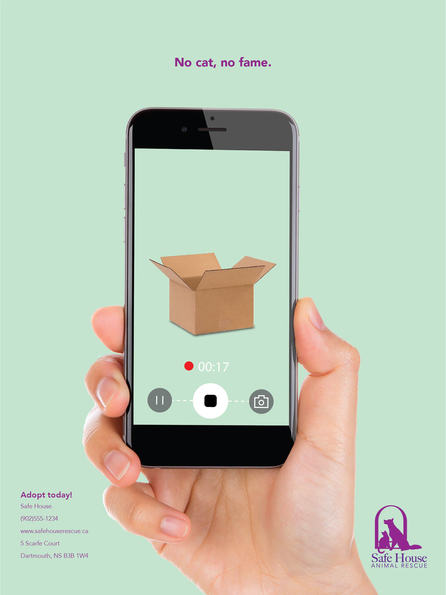 Safe House Cat Video: Box