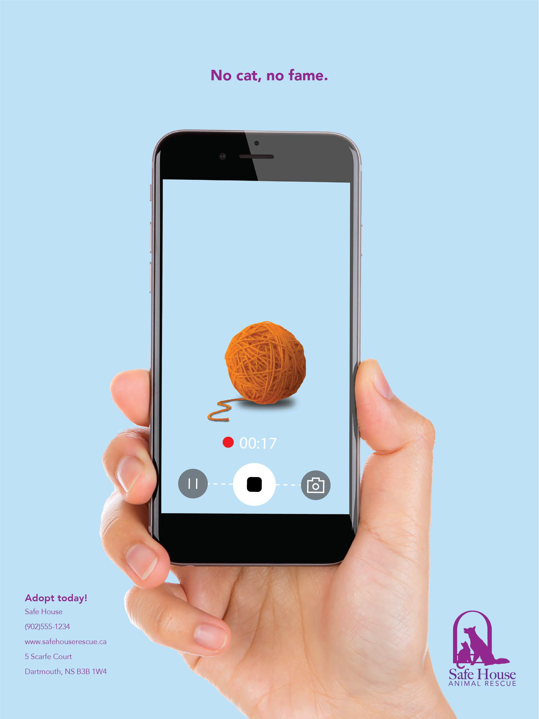 Safe House Cat Video: Yarn