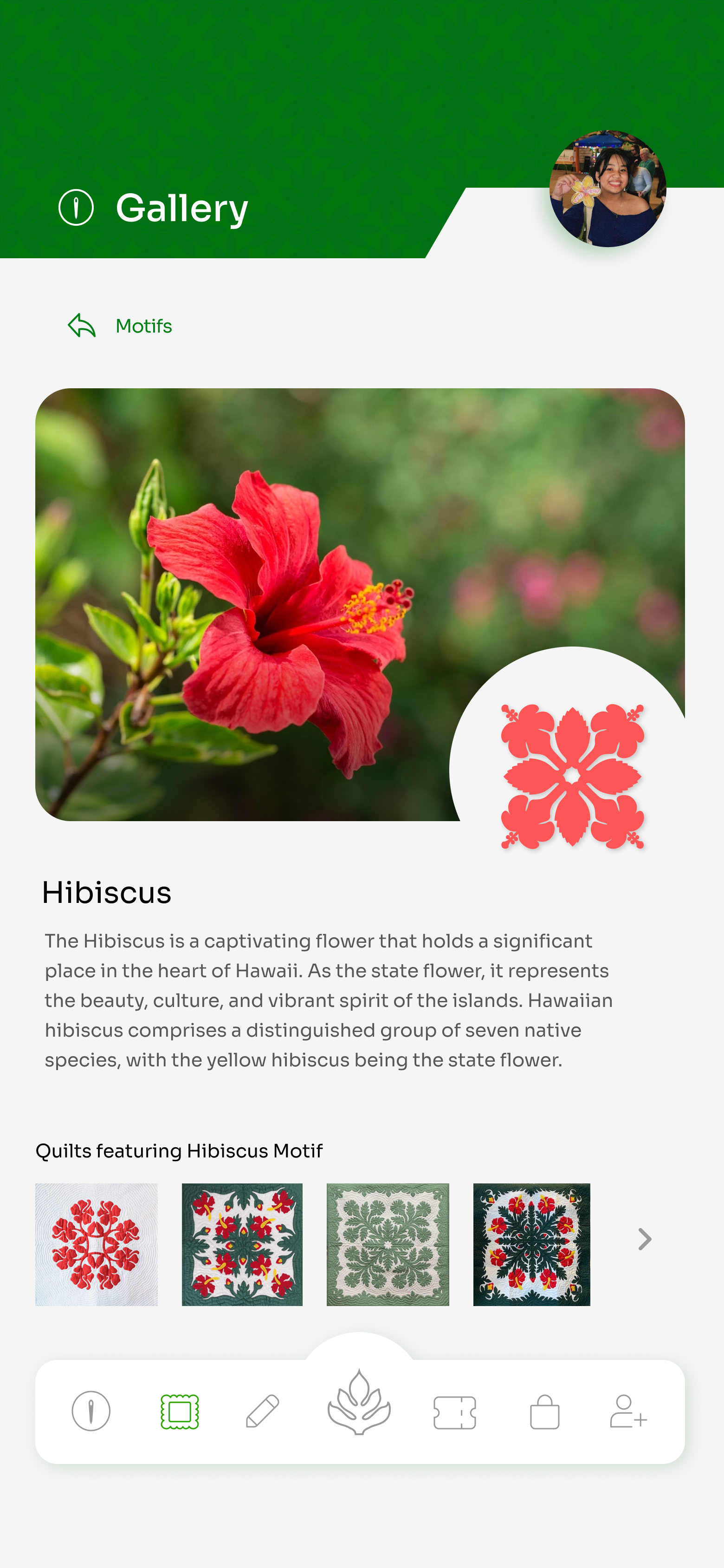 Final Hibiscus Motif Frame