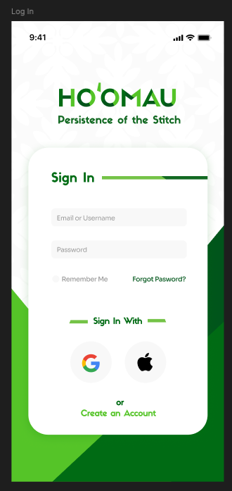Initial Sign-in Frame
