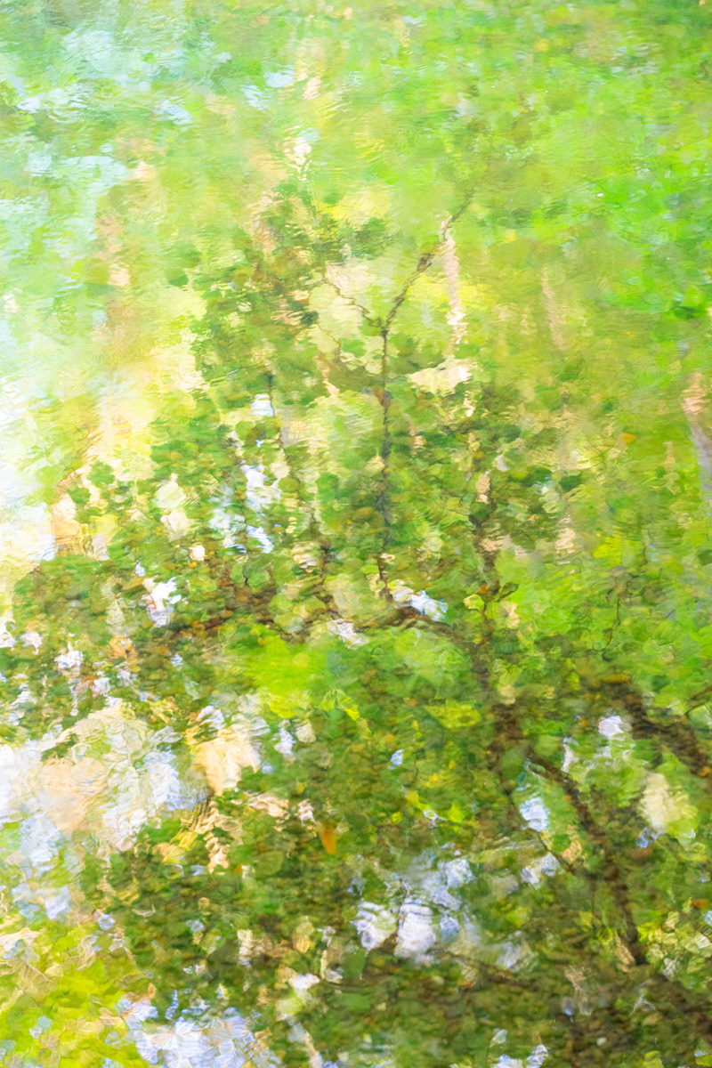 River Wansbeck, Northumberland - May