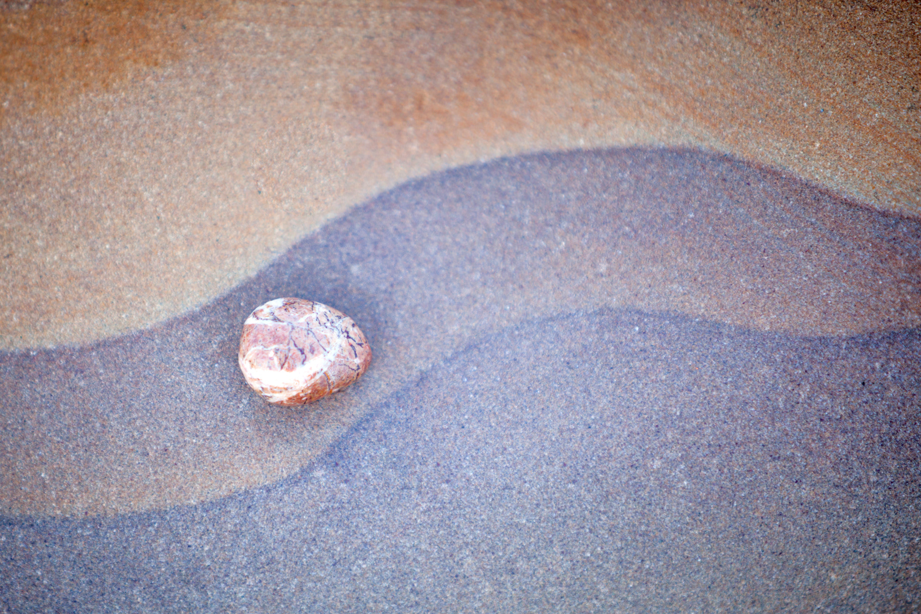 Rock detail - Collywell Bay, Northumberland