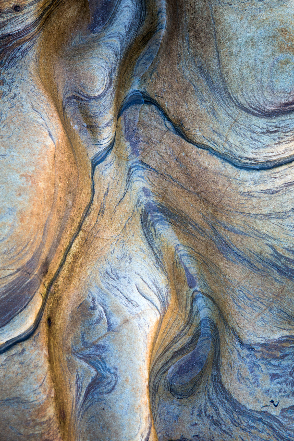 Rock detail - Spittal beach, Northumberland