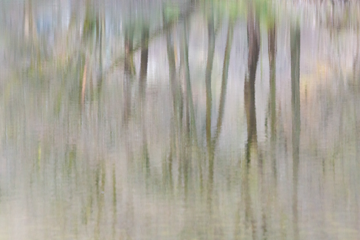 River Derwent Reflections, Borrowdale, Lake District - April