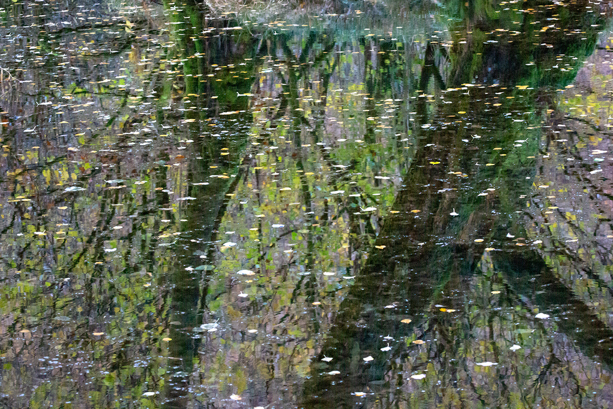 Autumn Reflections, Borrowdale, Lake District - November