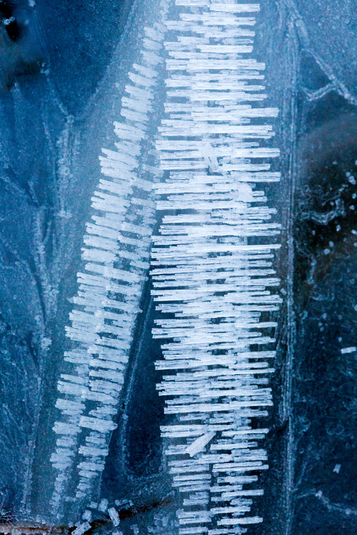 Ice patterns, on the farm, Northumberland
