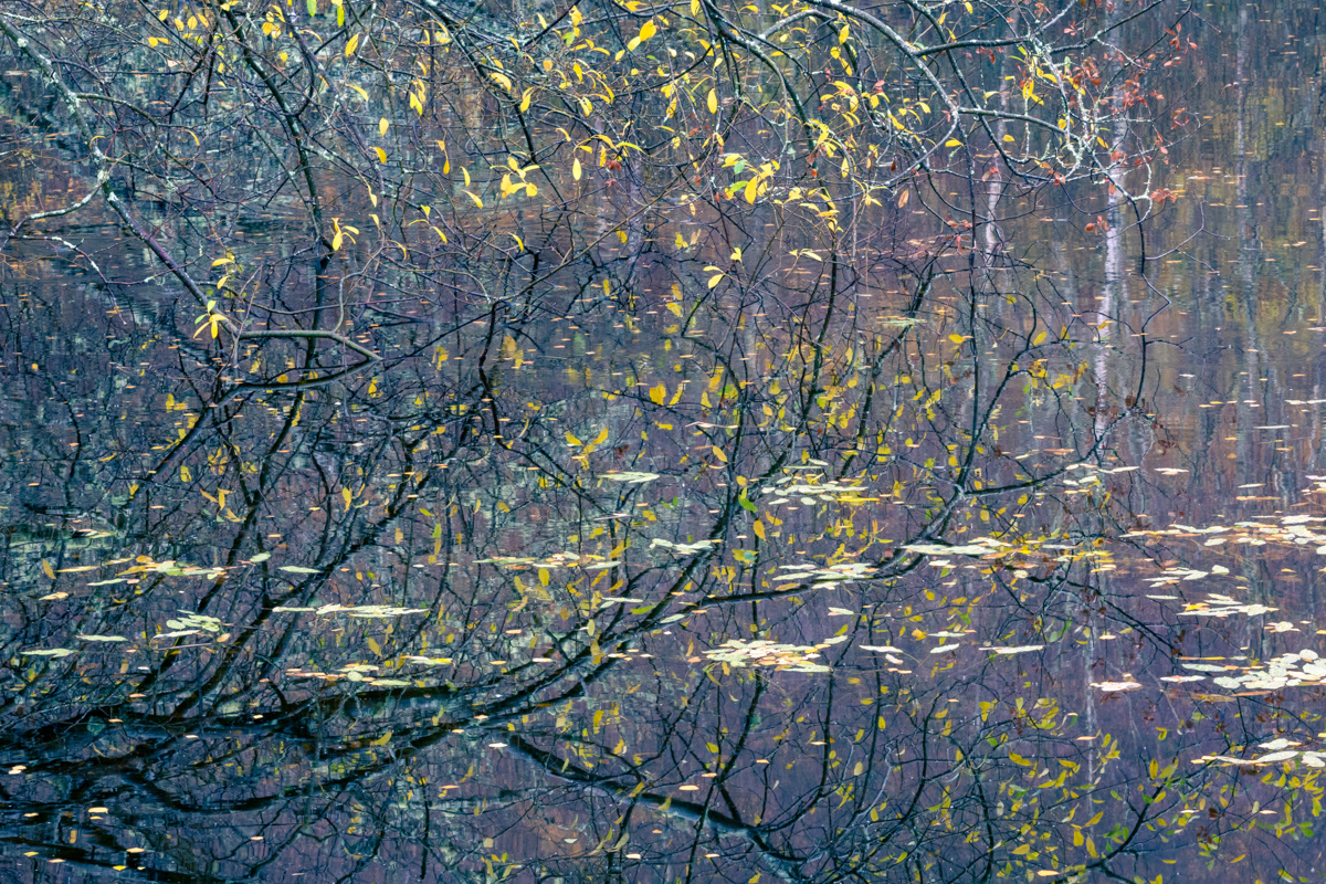 Lochan reflections, Aviemore, Scotland - November