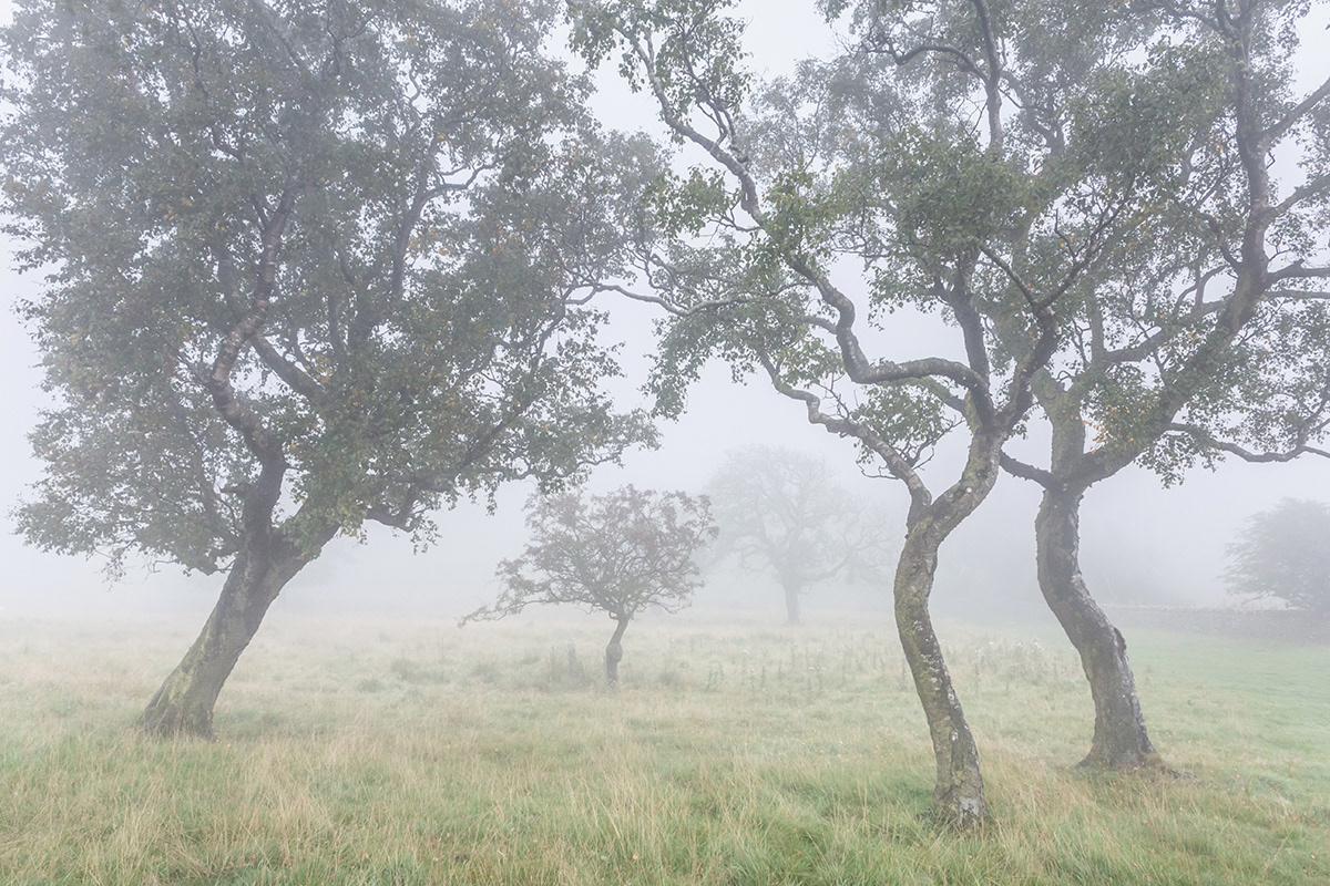 Walltown Crags, Hadrian's Wall, Northumberland - September