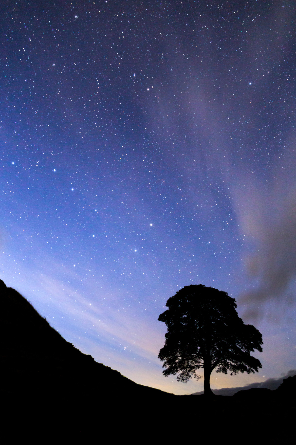 Sycamore Gap, Hadrian's Wall, Northumberland