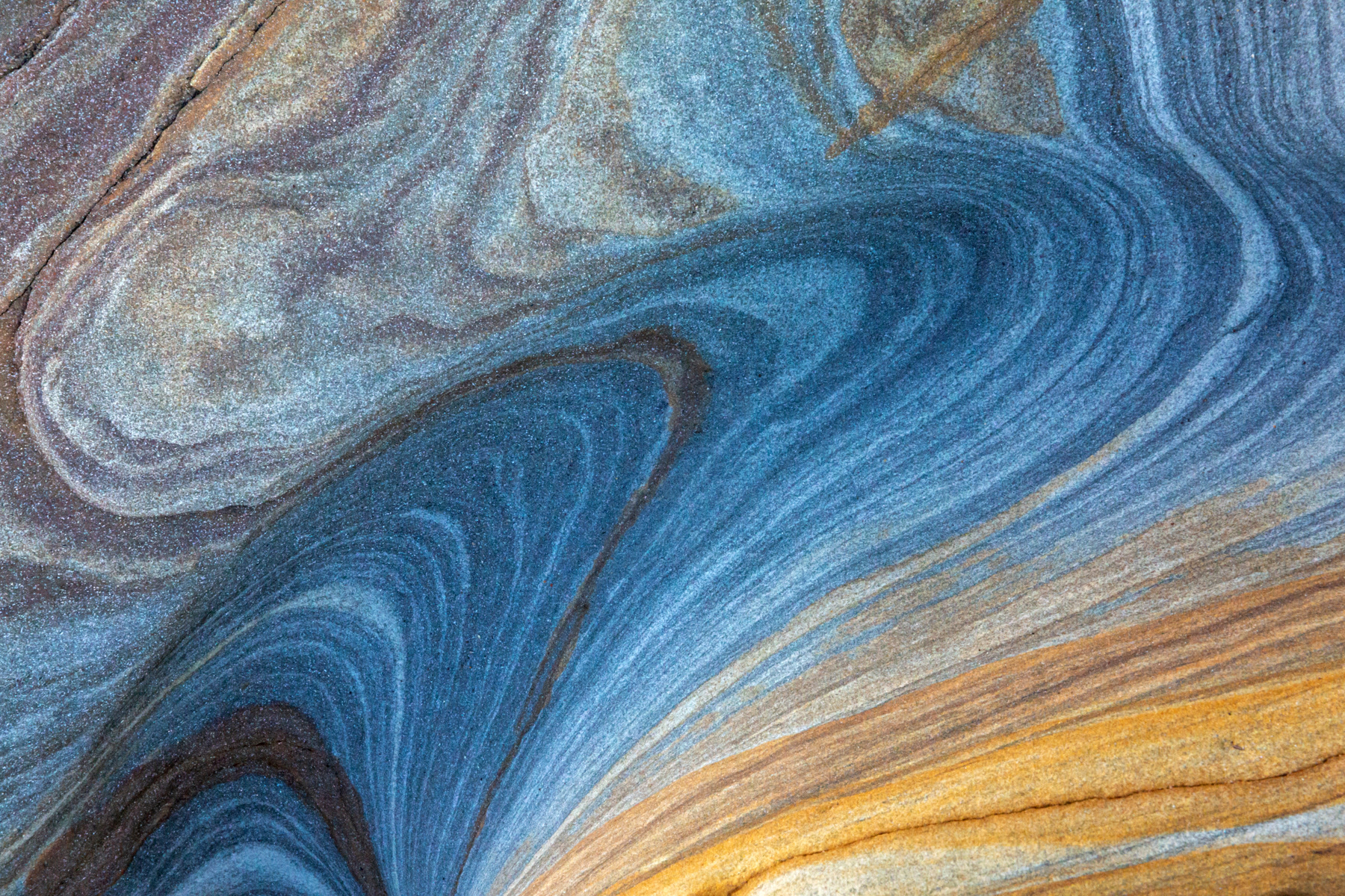Rock detail - Spittal Beach, Northumberland