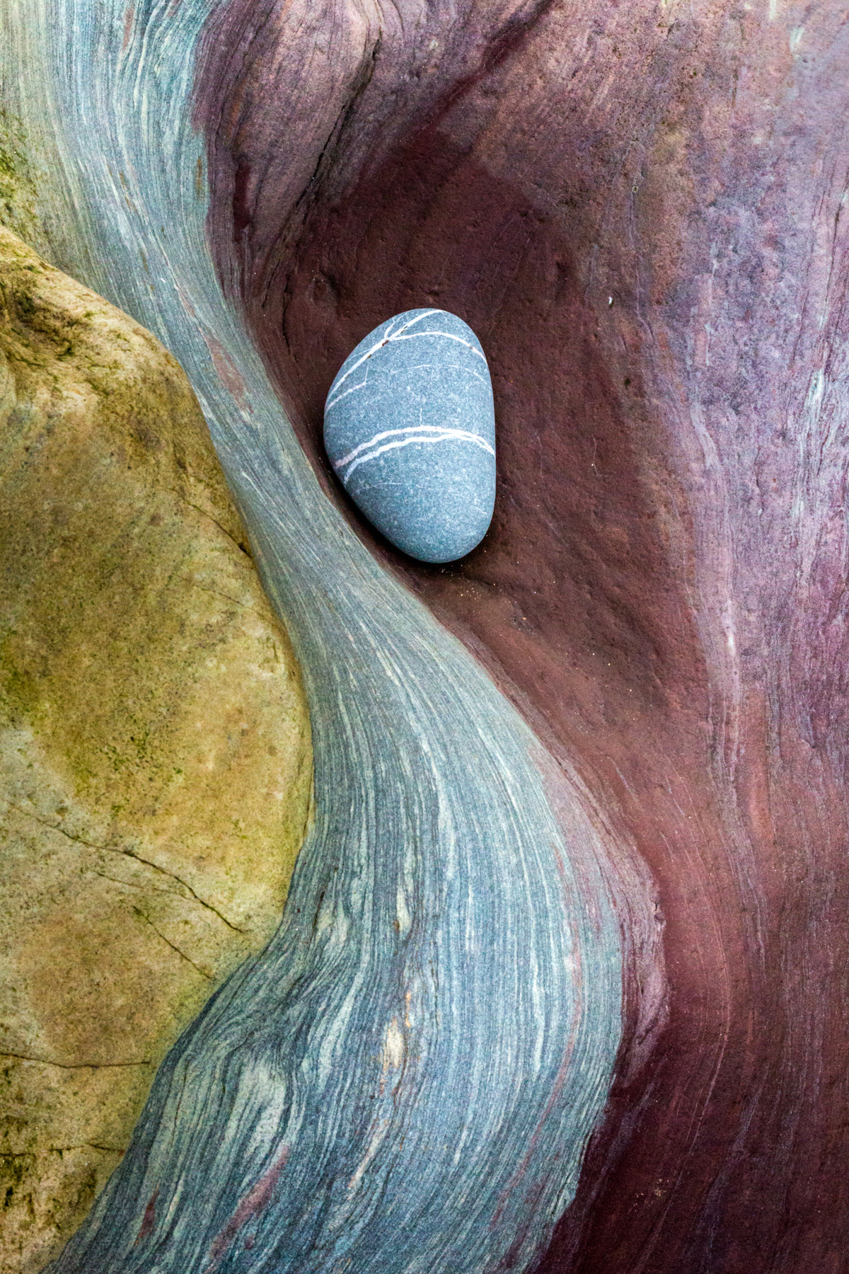 Rock detail - Spittal Beach, Northumberland