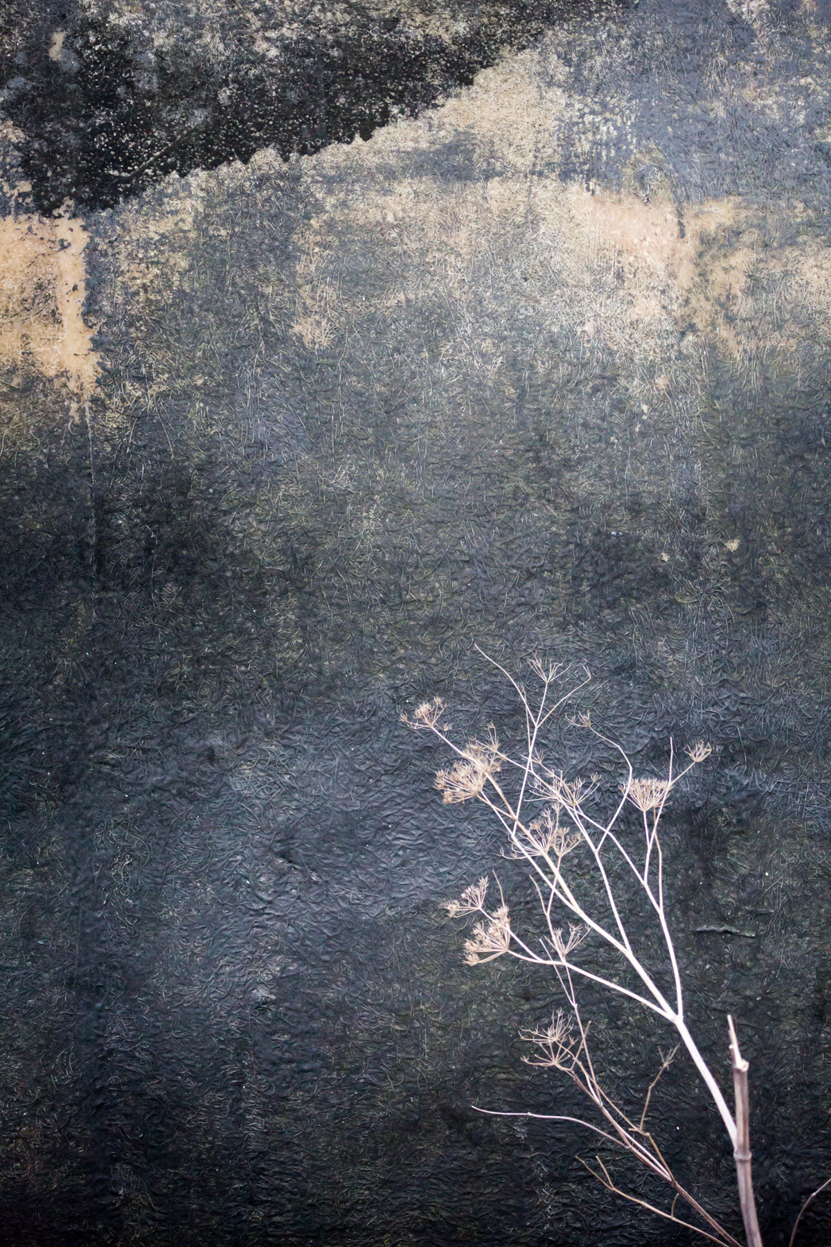 Seed and tarp detail - Holy Island, Northumberland