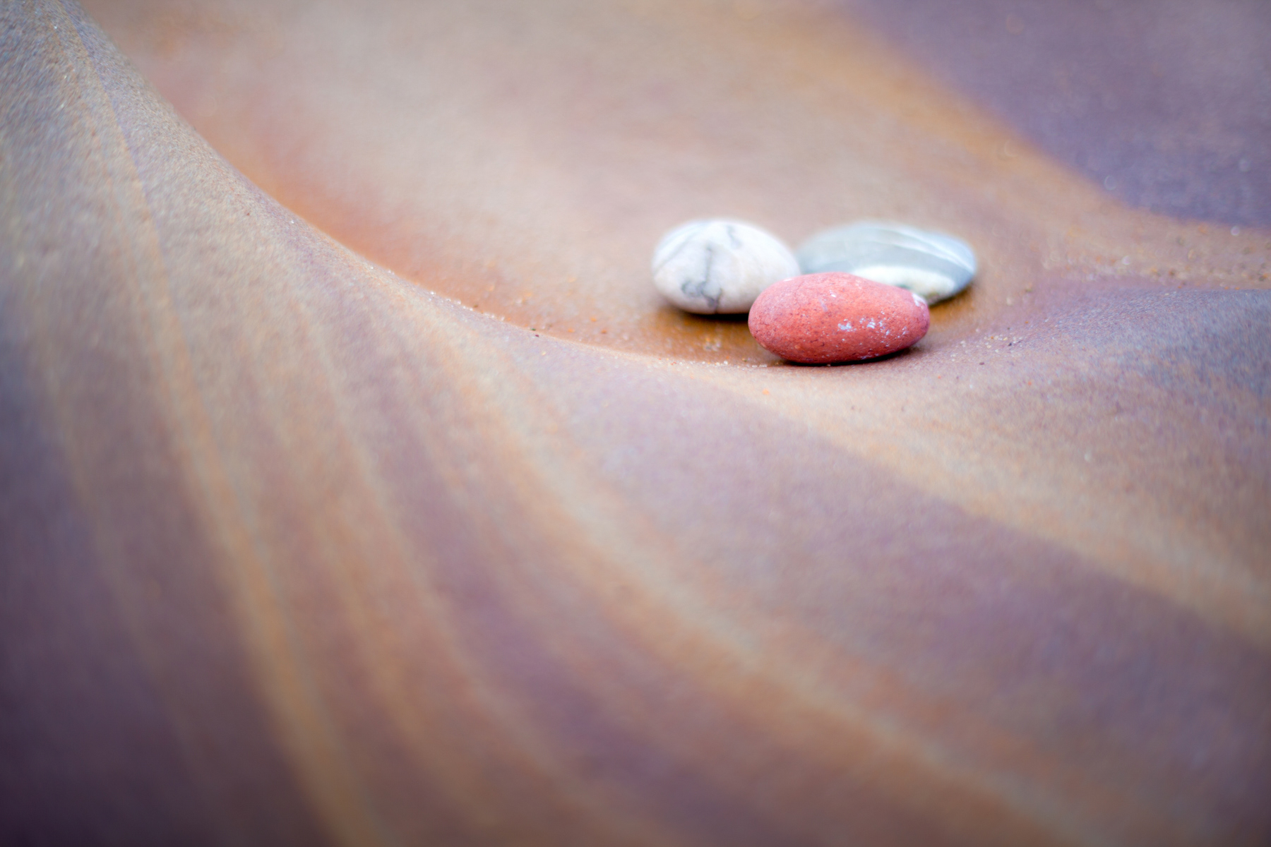 Rock detail, Collywell Bay, Northumberland