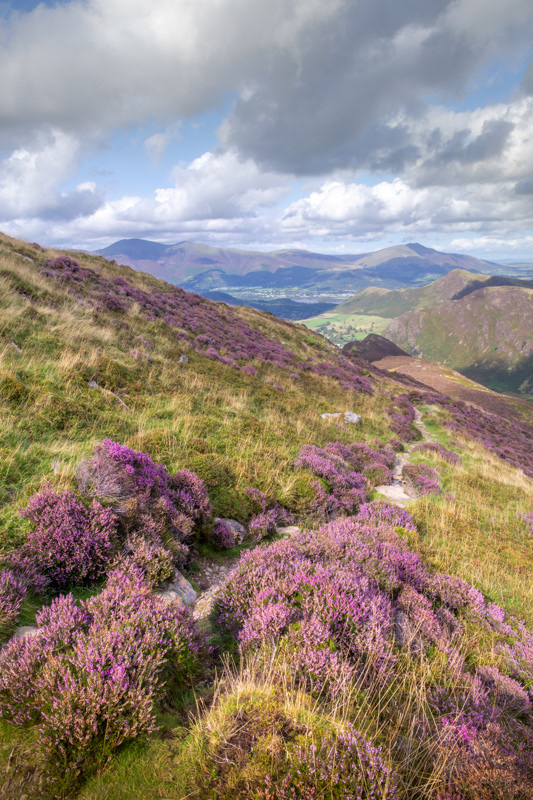 Hindscarth Fell, The Lake District - August