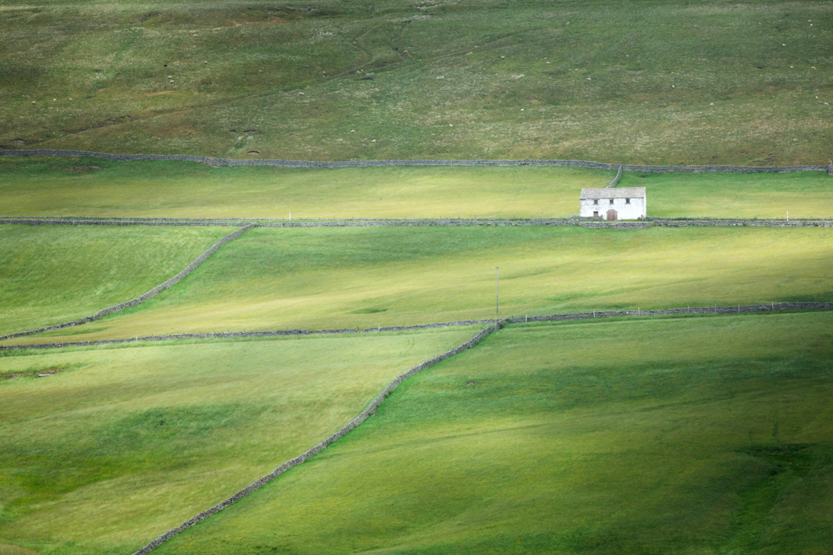 Teesdale near the Pennine Way - June