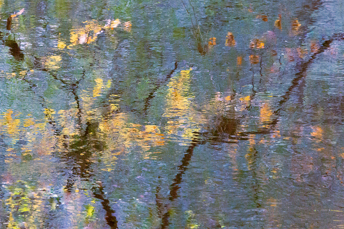 The River Wansbeck, Northumberland - October