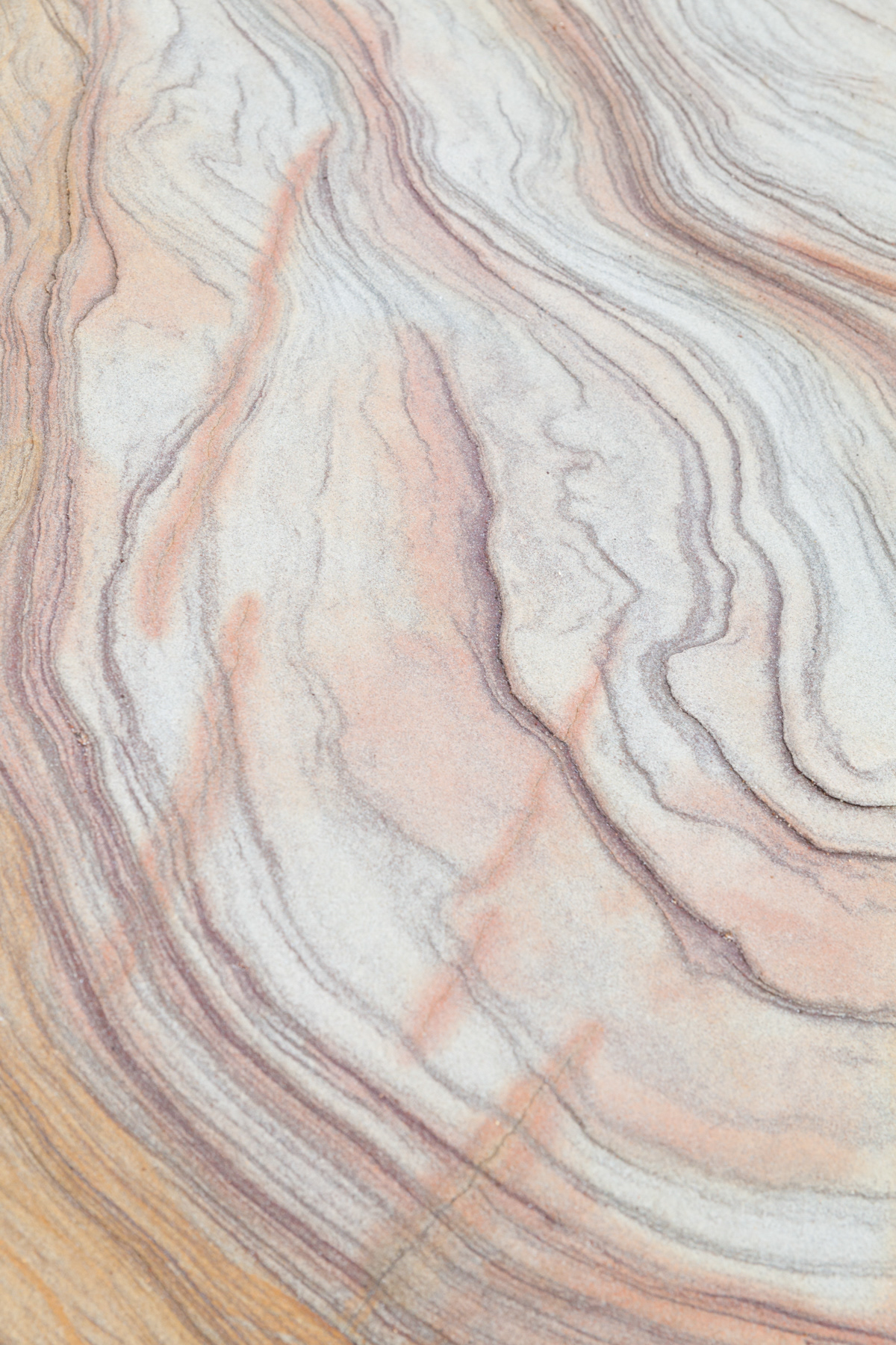 Rock detail - Spittal beach, Northumberland