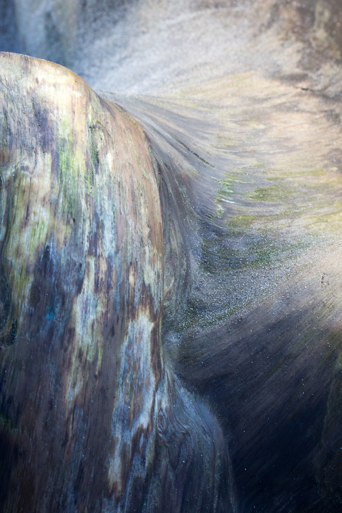Driftwood - Holy Island, Northumberland