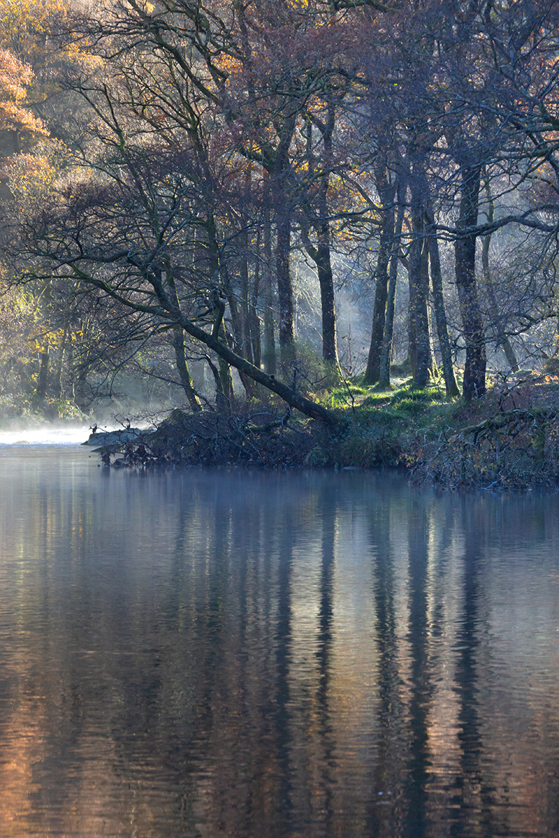 Autumn in Borrowdale, Lake District - November