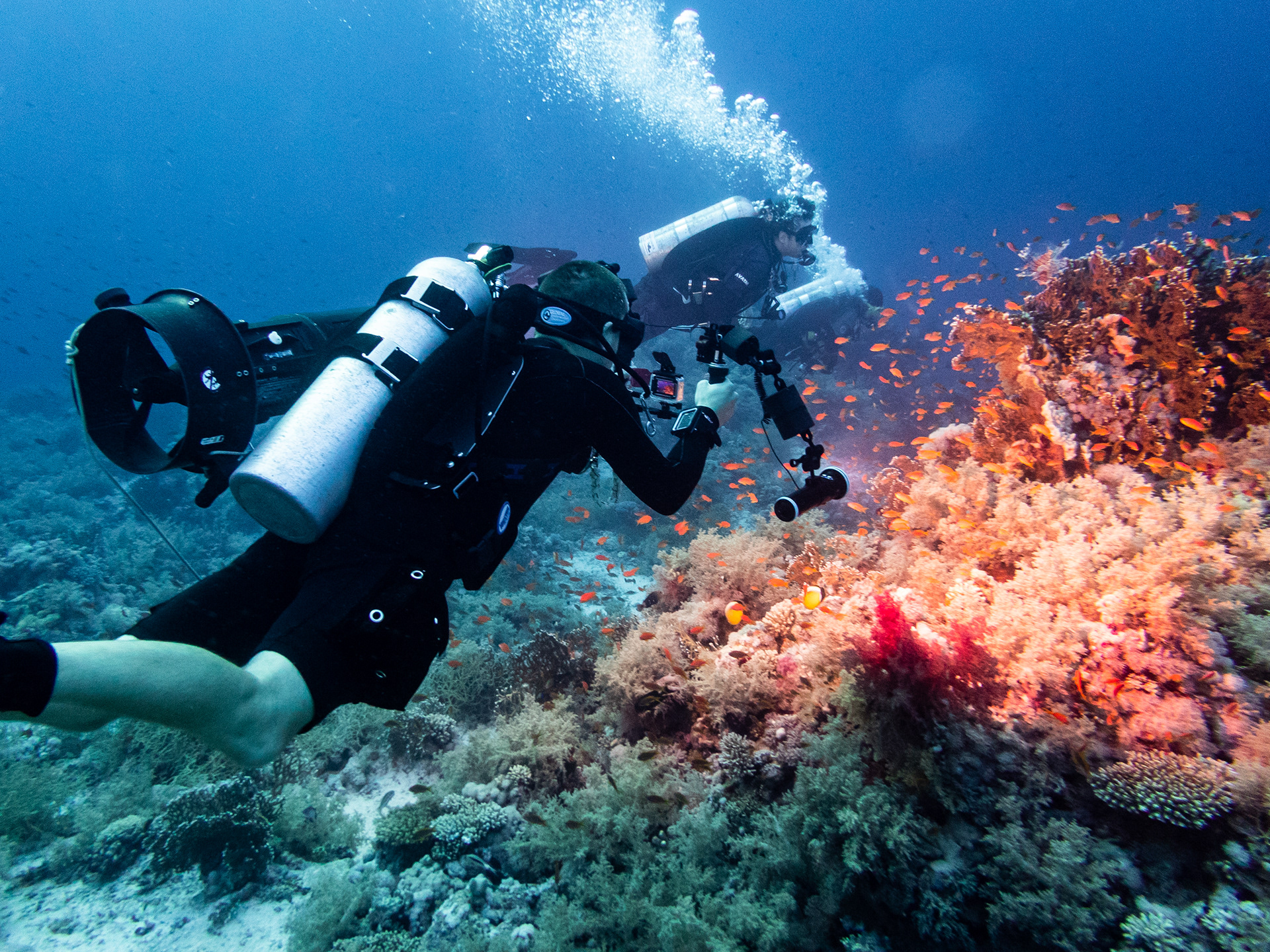 Photo by Jordan Amato