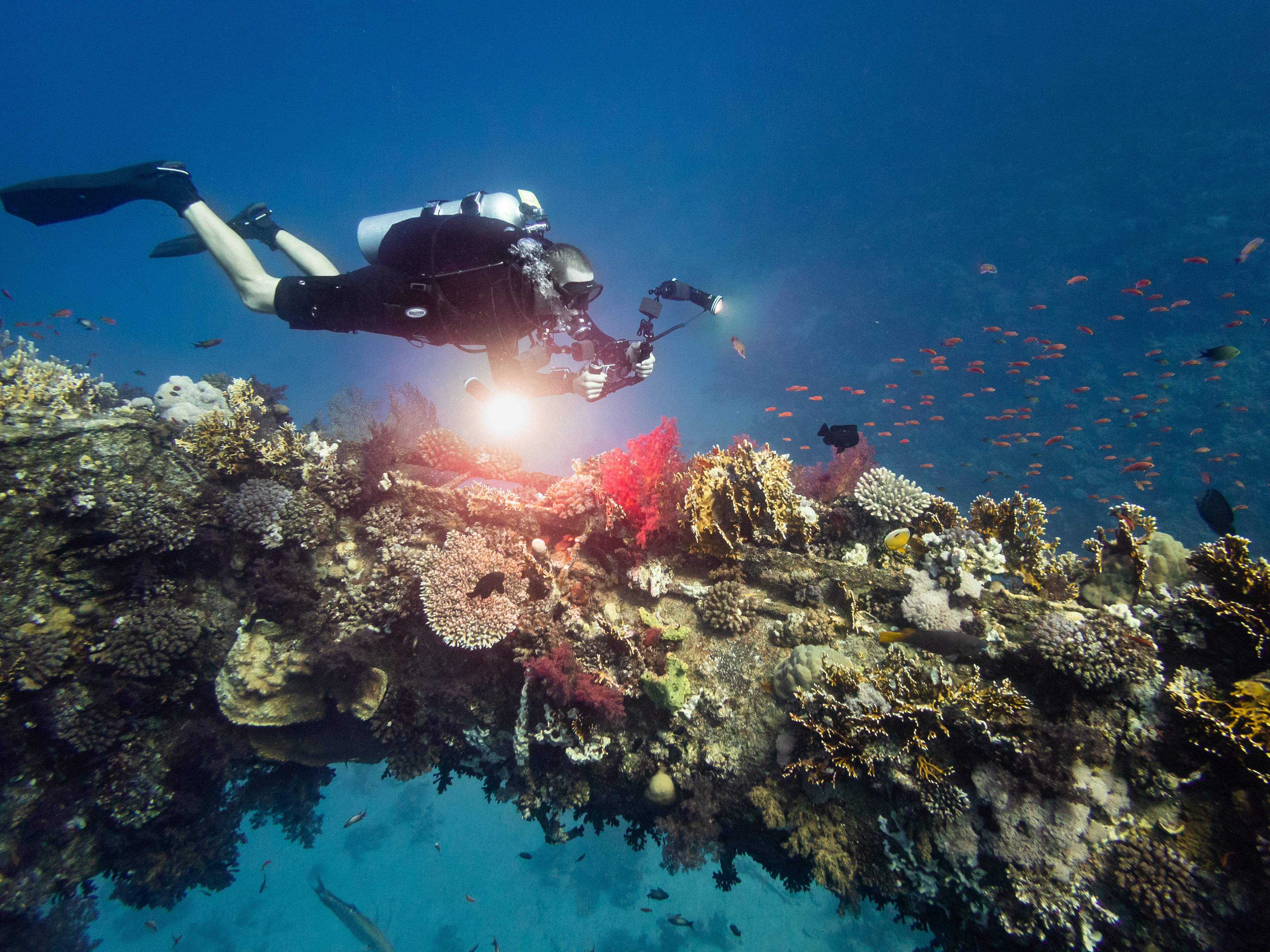 Photo by Jordan Amato