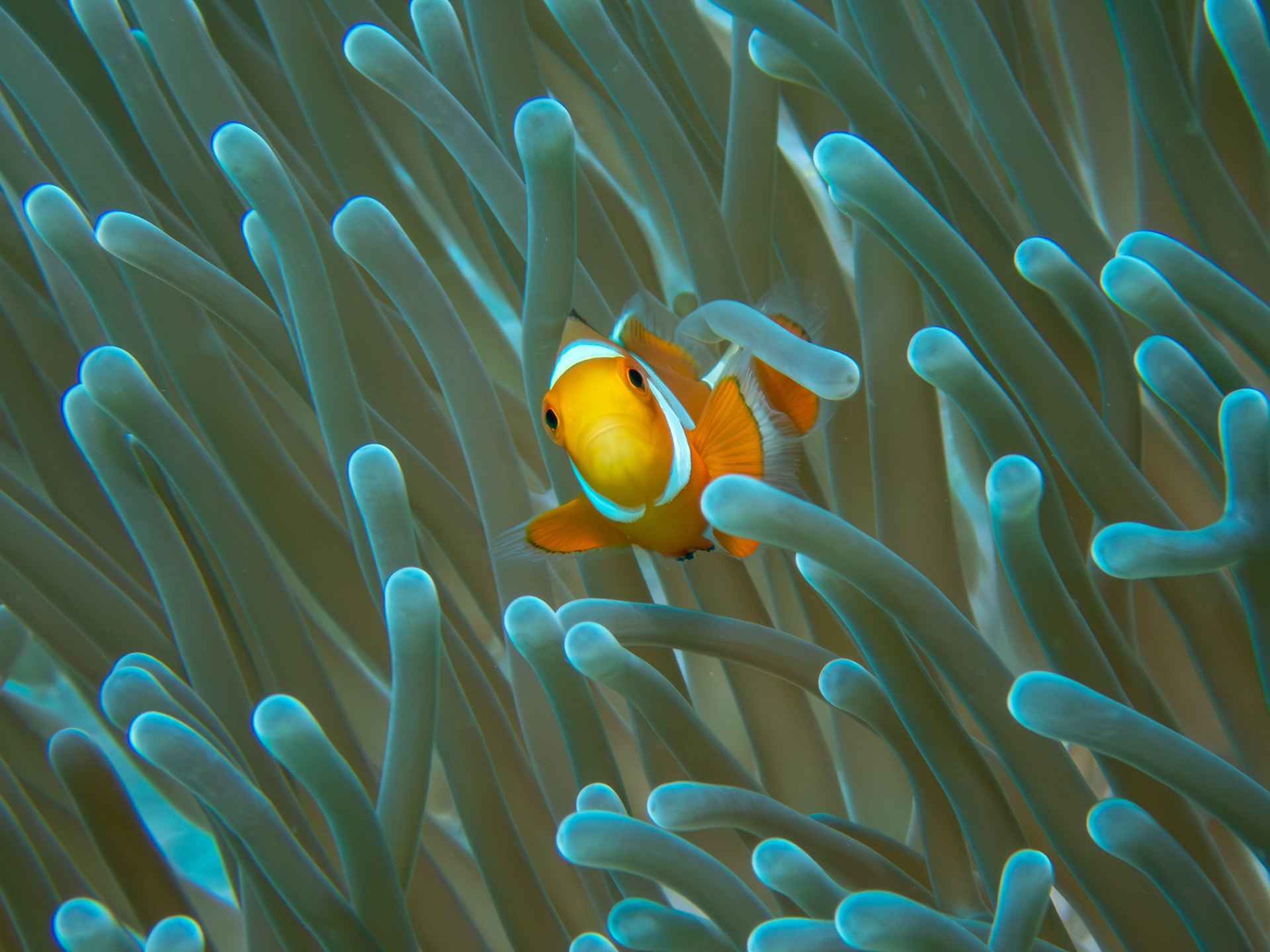 Photo by Jordan Amato