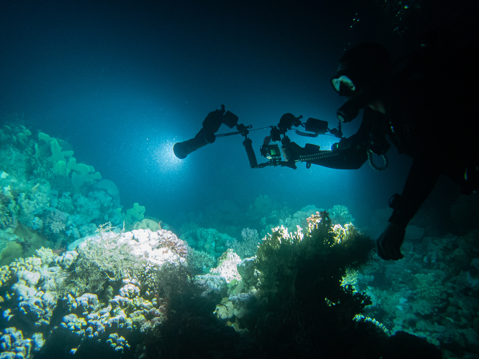 Photo by Jordan Amato