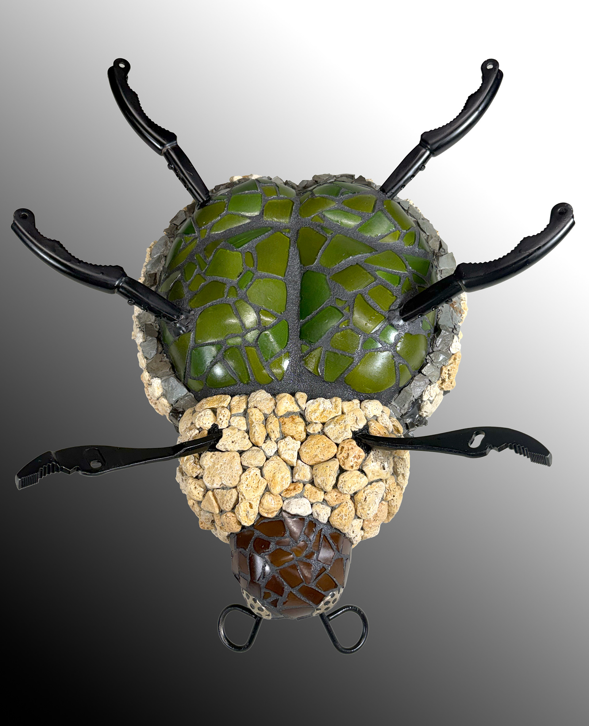 "Black Meander Beetle" bottom  2026