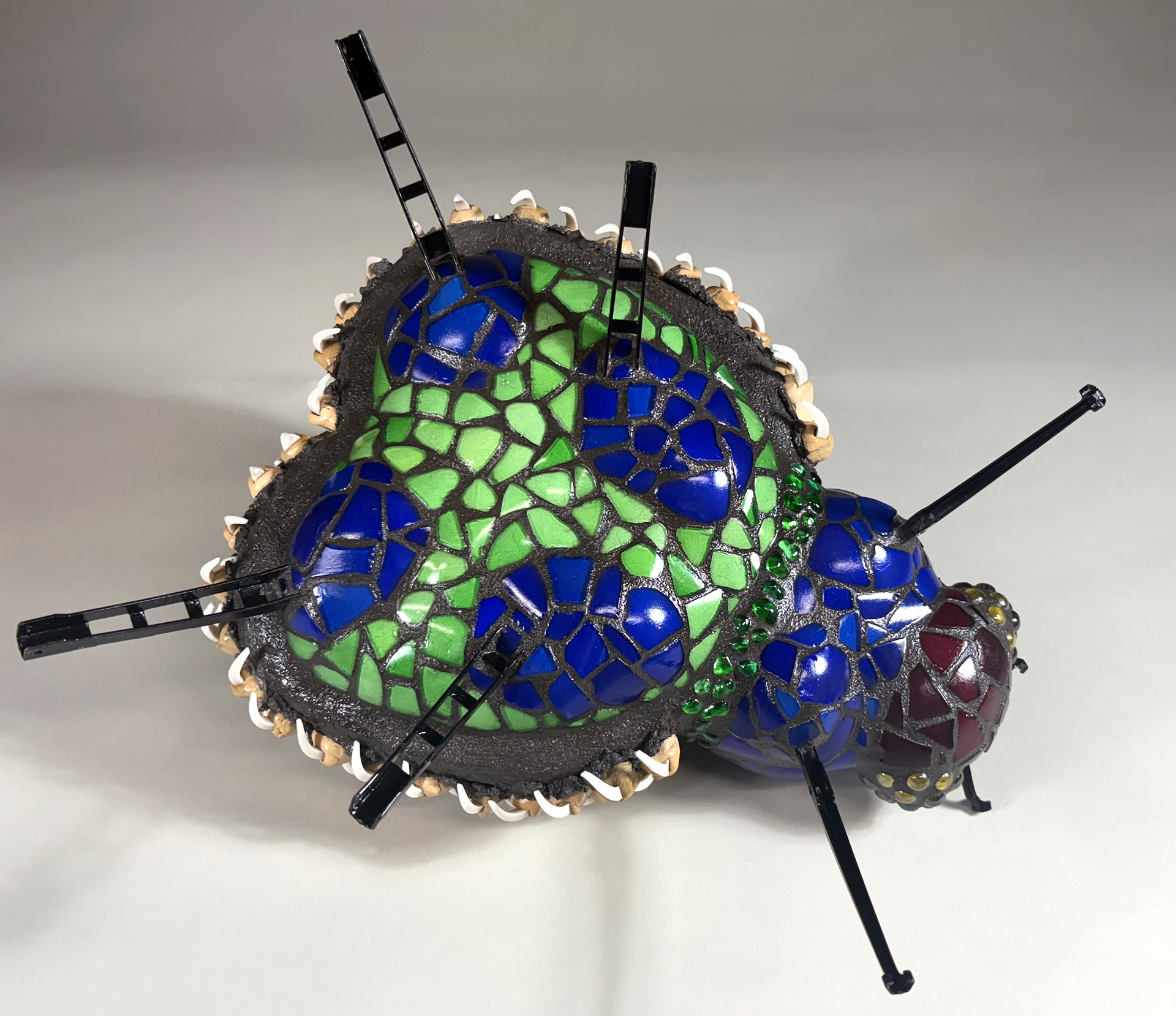 RGB Beetle underside