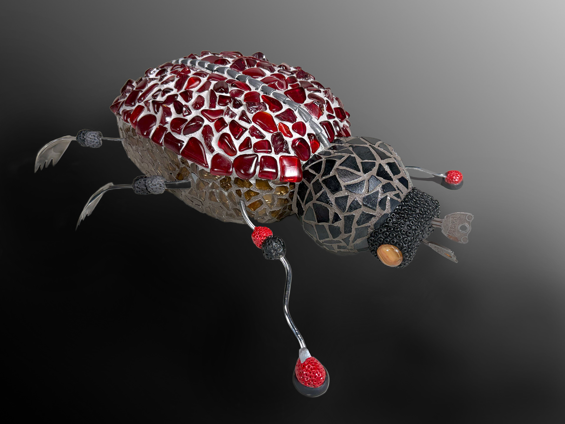 "Orange-eyed Beetle" 2026