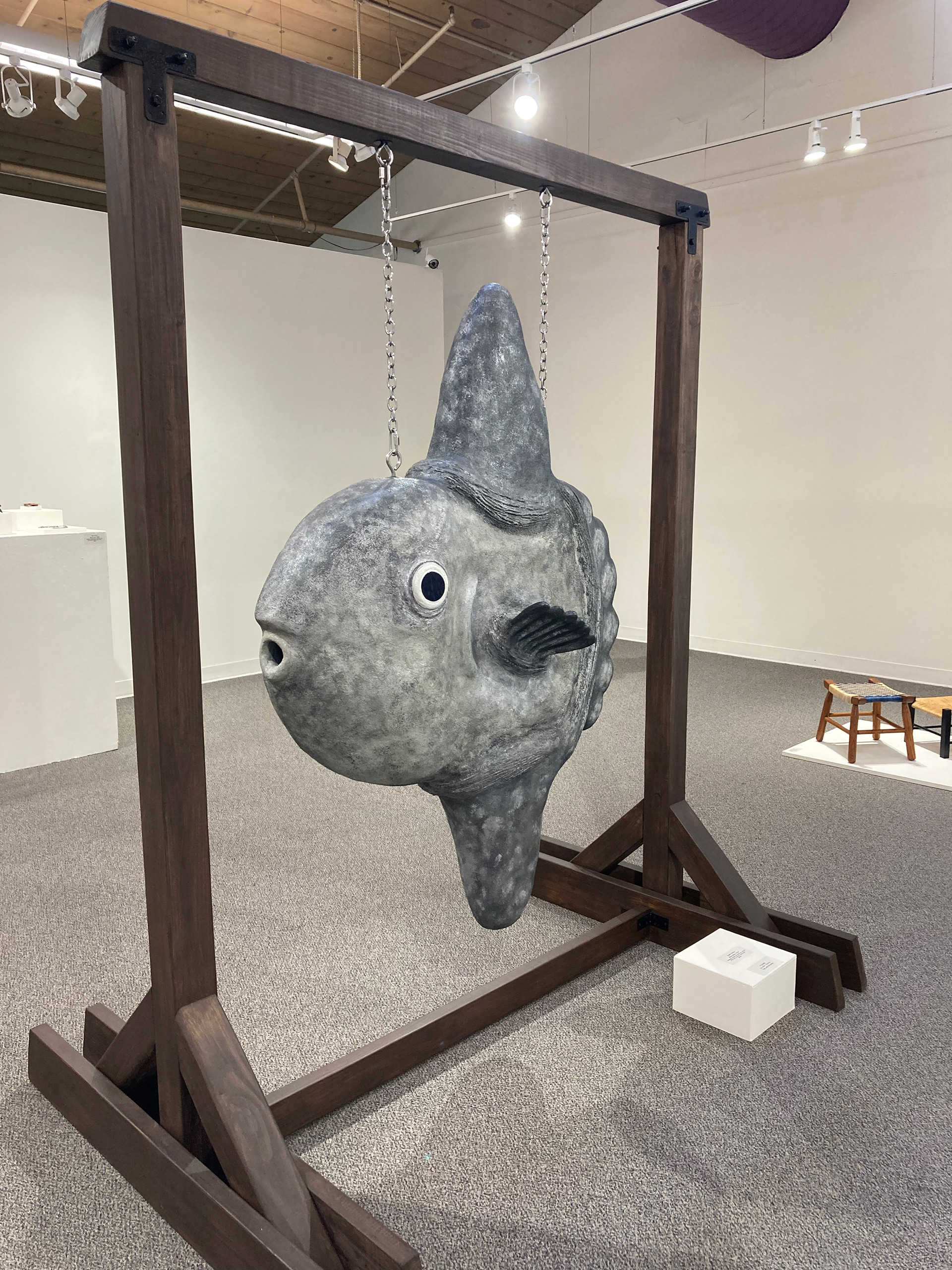 Mola Mola at the gallery