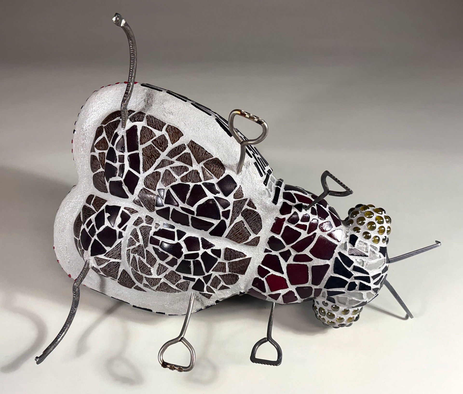 Striped Beetle underside