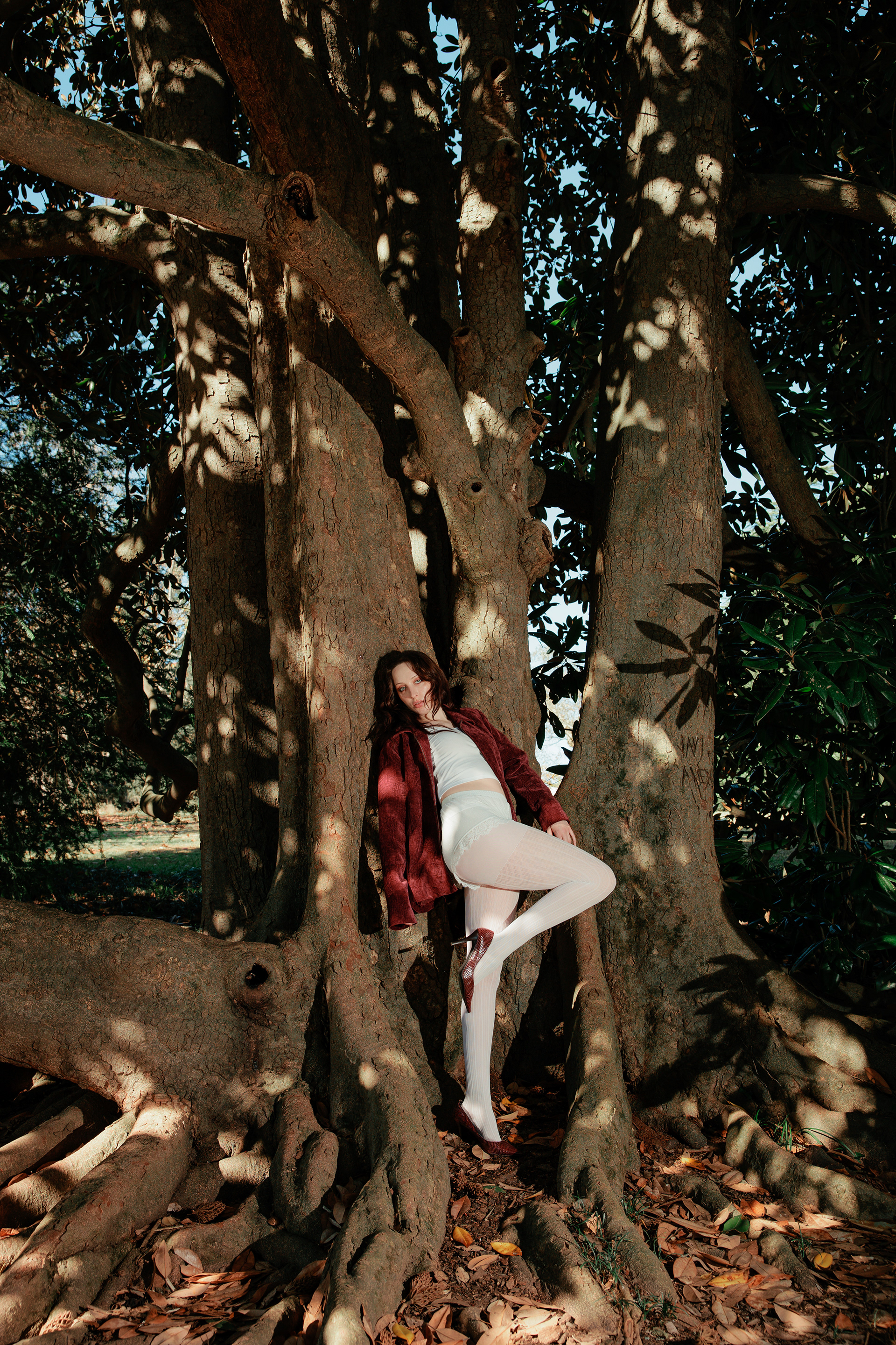 © 2025 Aislinn Brady