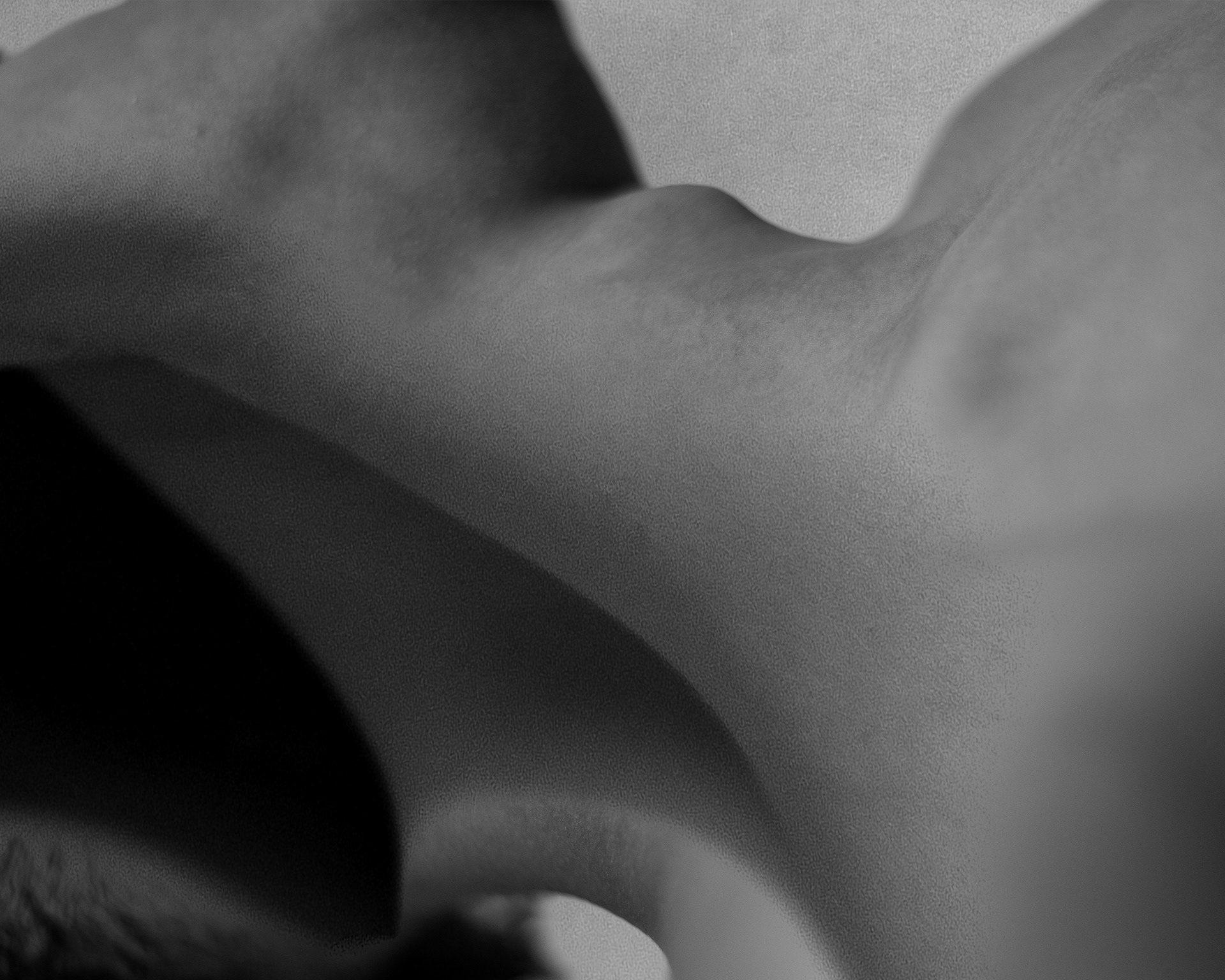 © 2022 Aislinn Brady