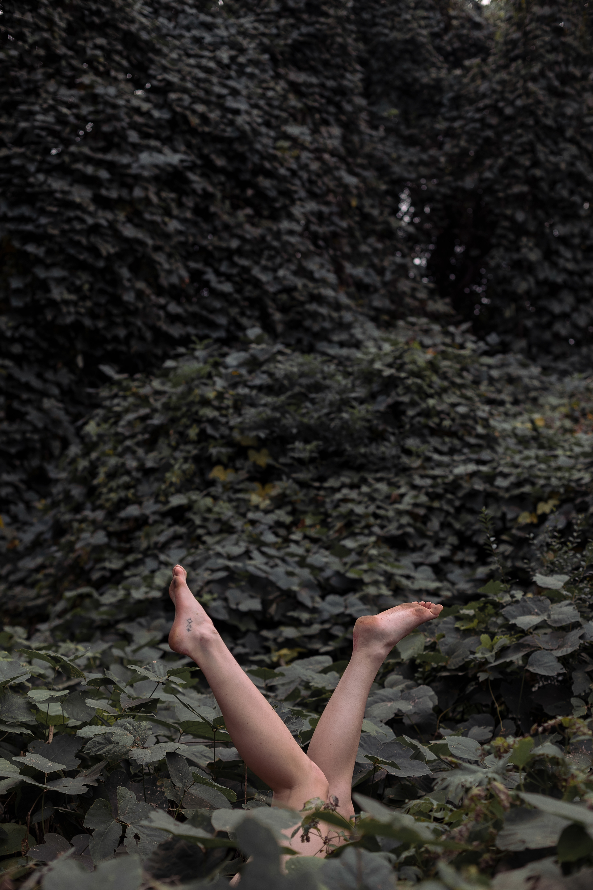 Drowning © 2022 Aislinn Brady