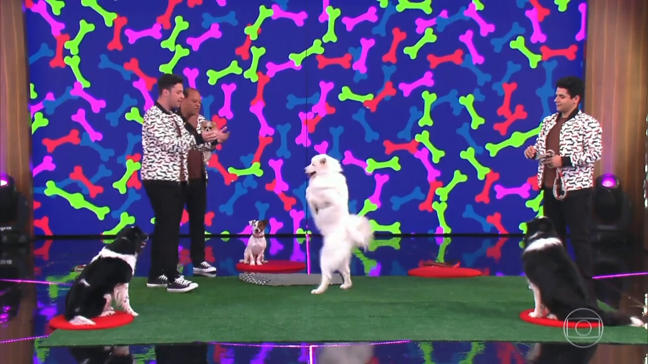 apresentação de talentos com cães