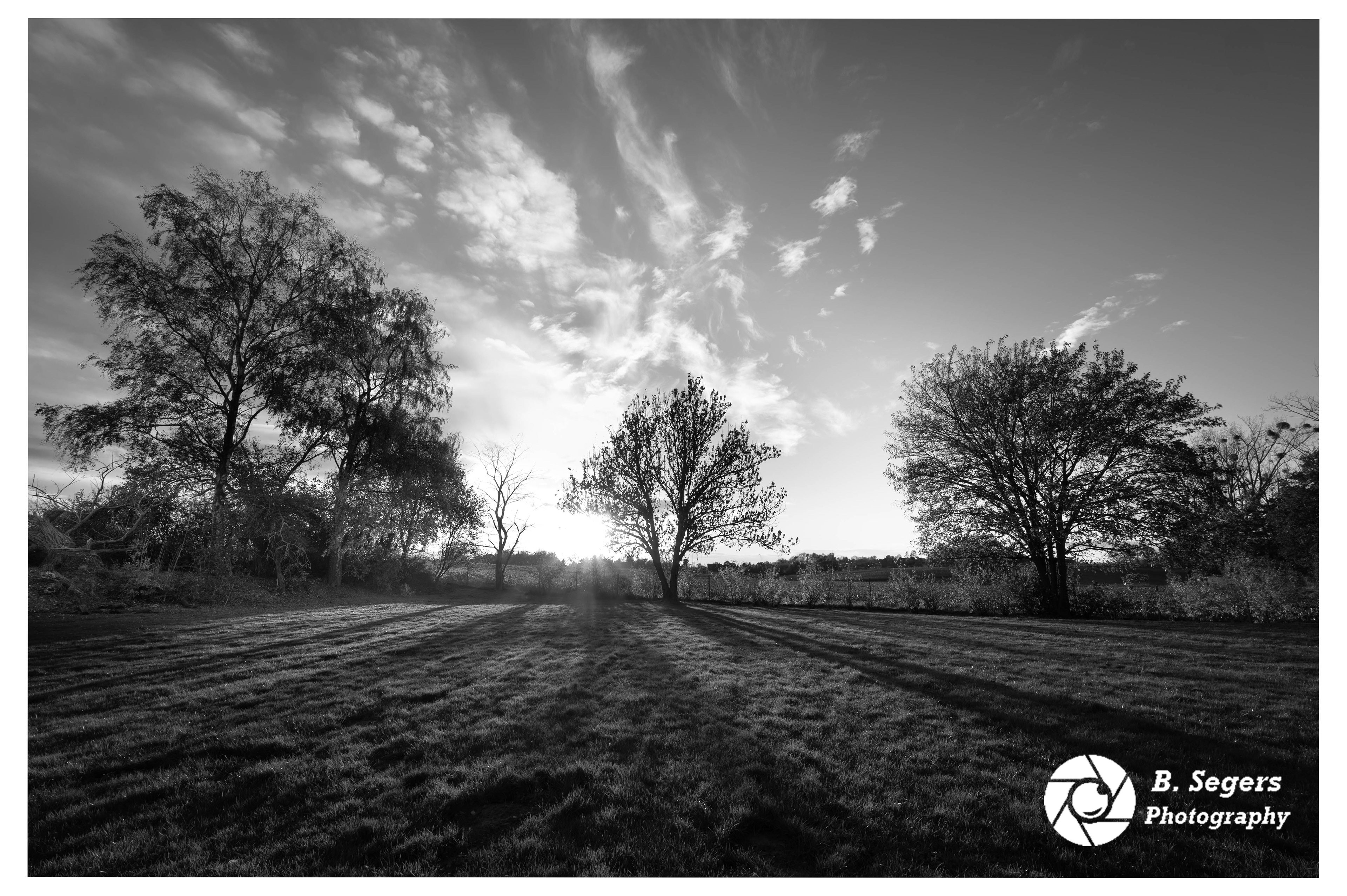 Sterrebeek, BE