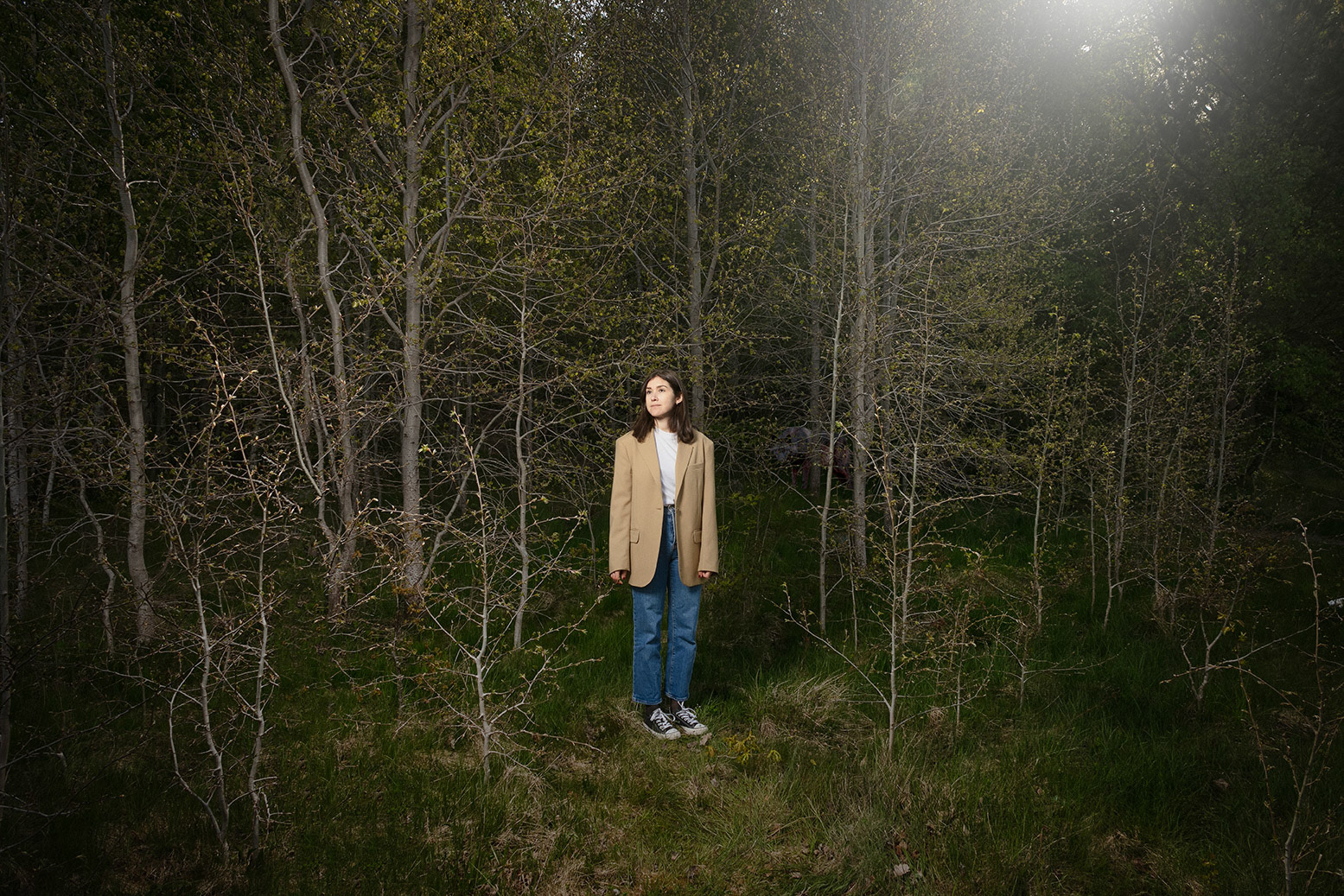 Danira Behaderovic Rise