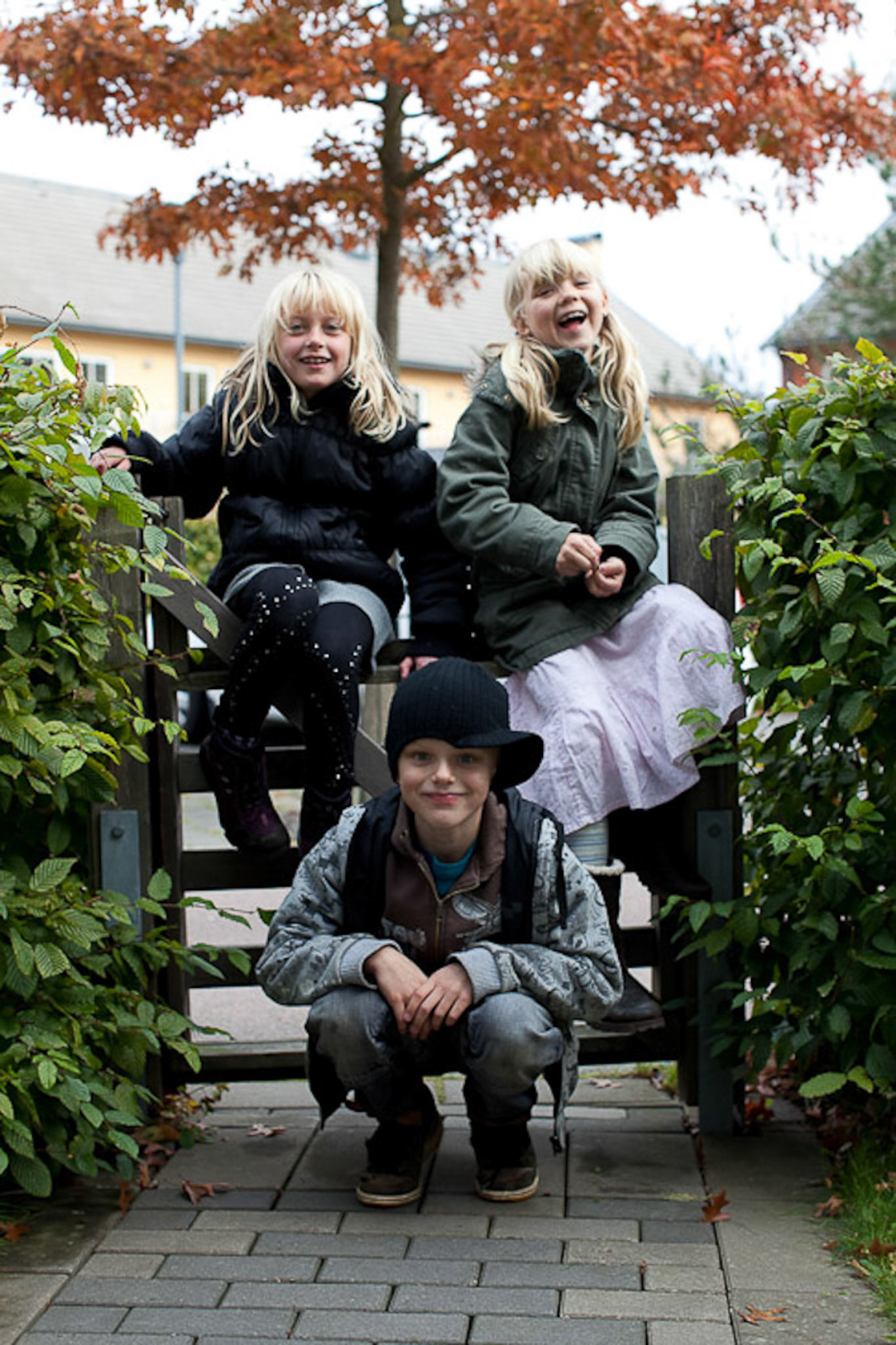 Bostadsbolaget