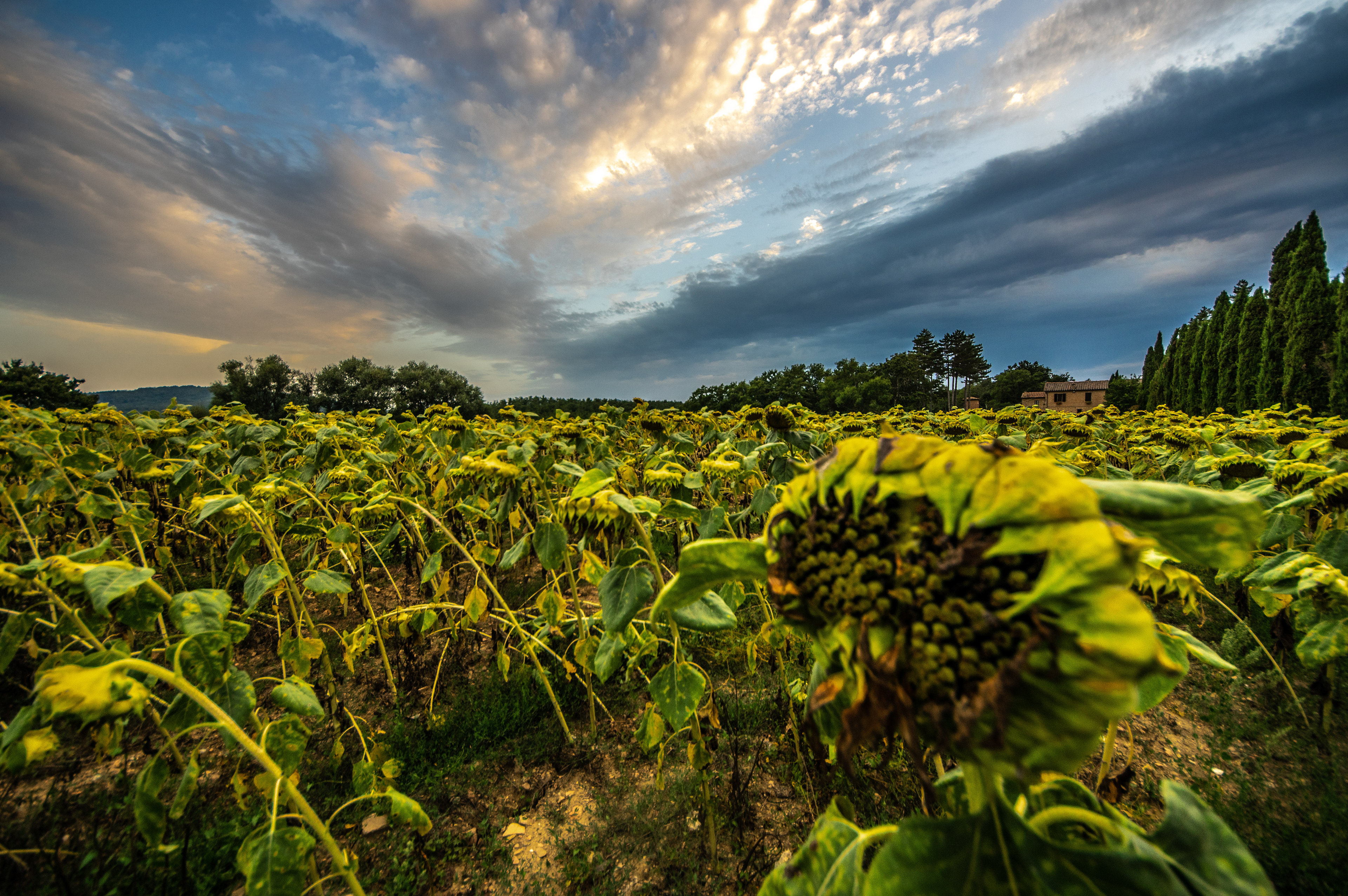 San Galgano - Chiusdino
