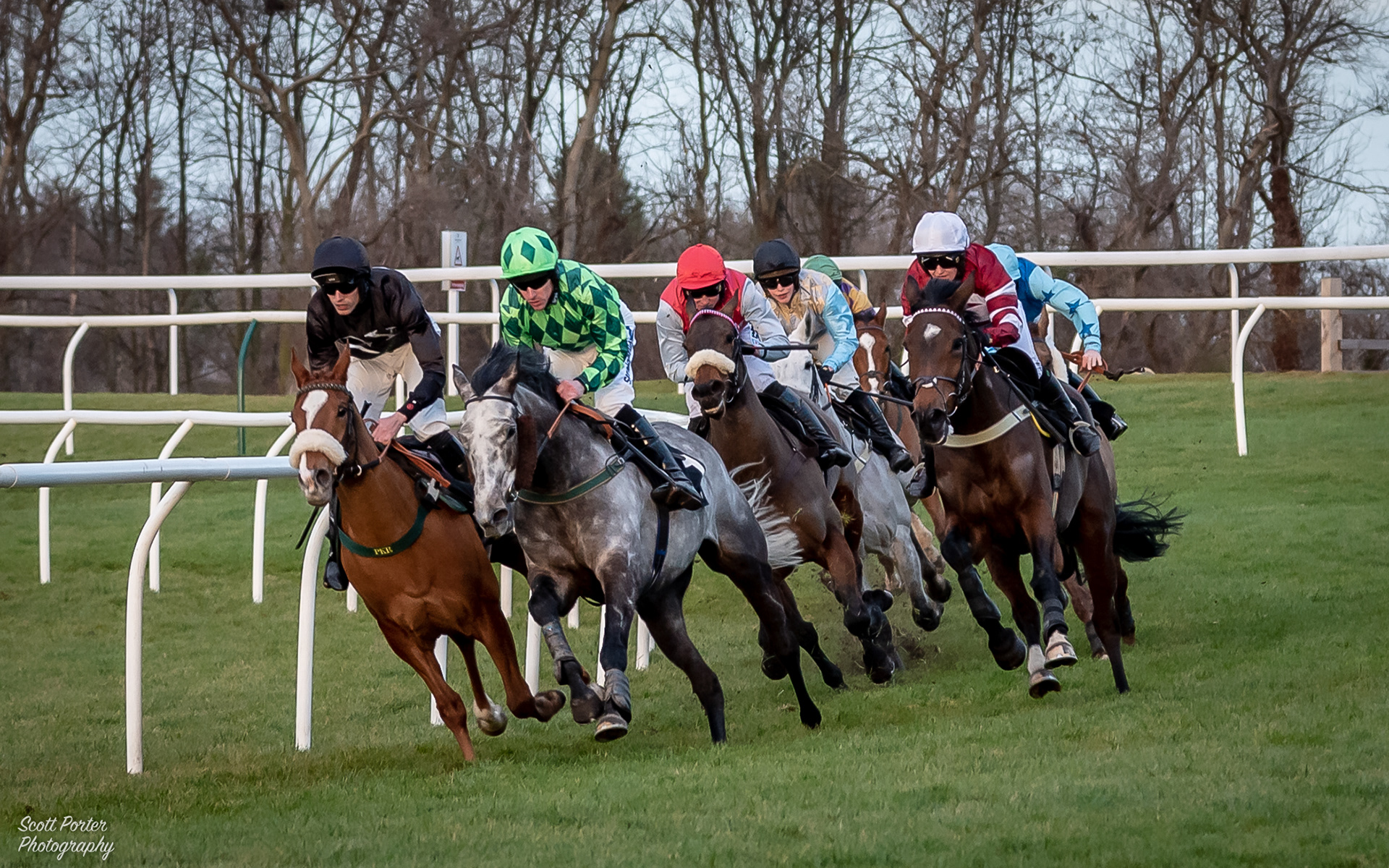Musselburgh Races