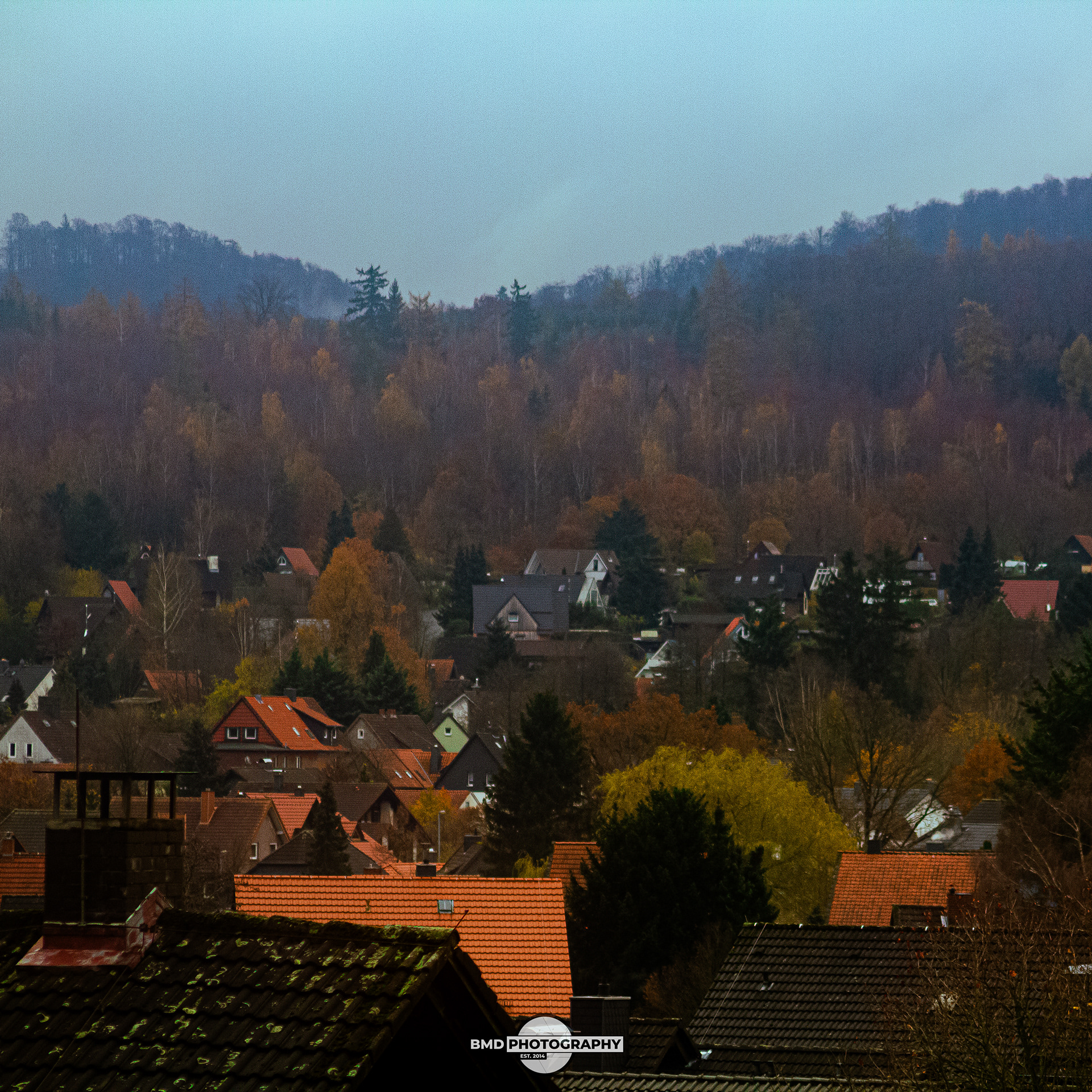 Wolfshagen - Nov 2023