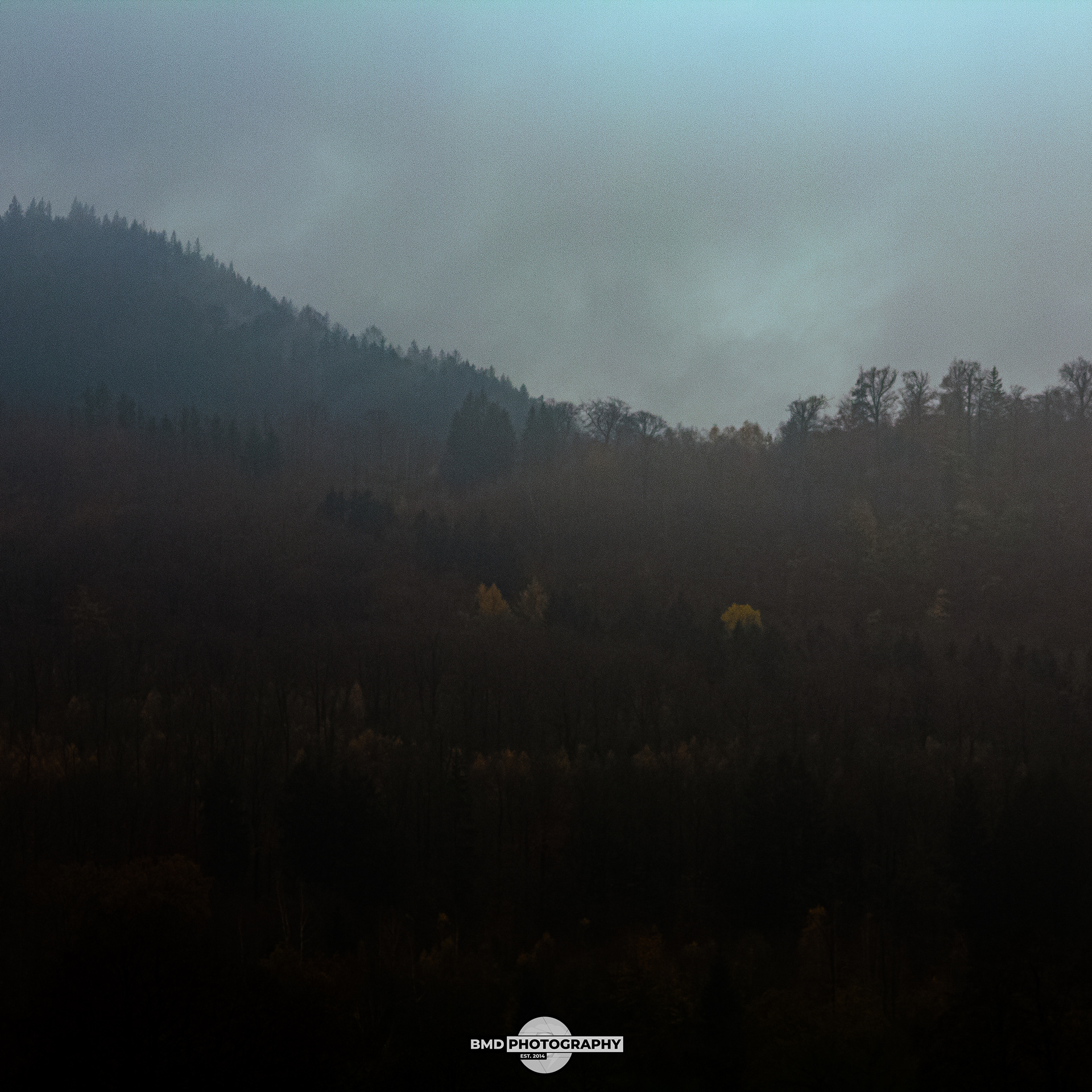 Wolfshagen - Nov 2023