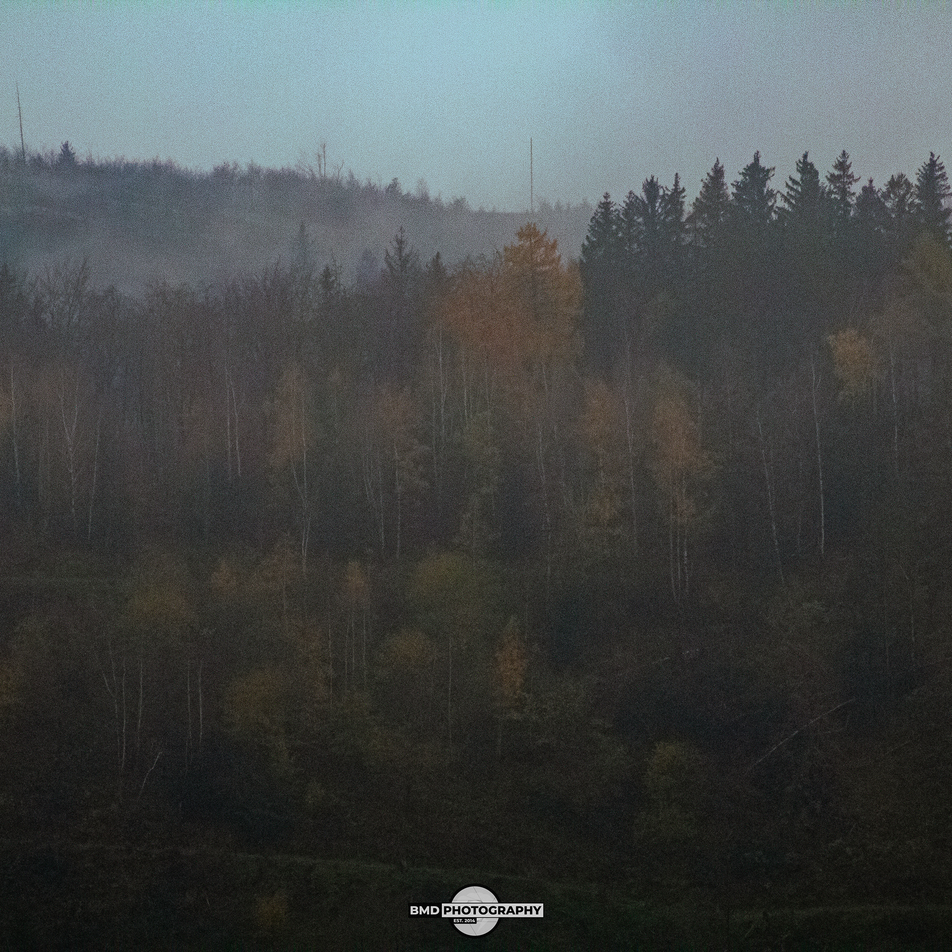 Wolfshagen - Nov 2023