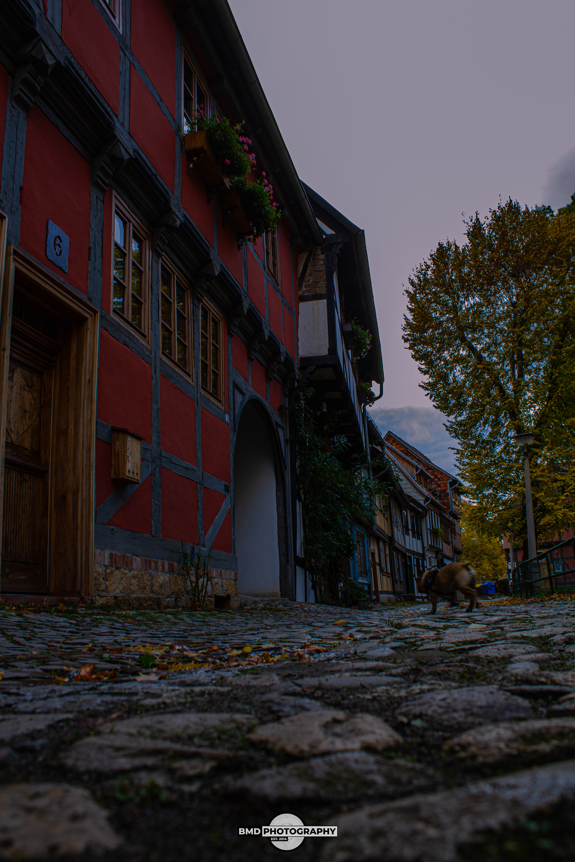 Quedlinburg - Nov 2023