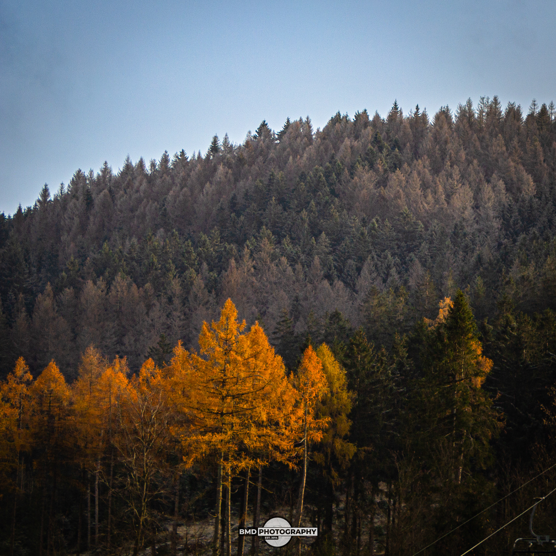 Wolfshagen - Nov 2023